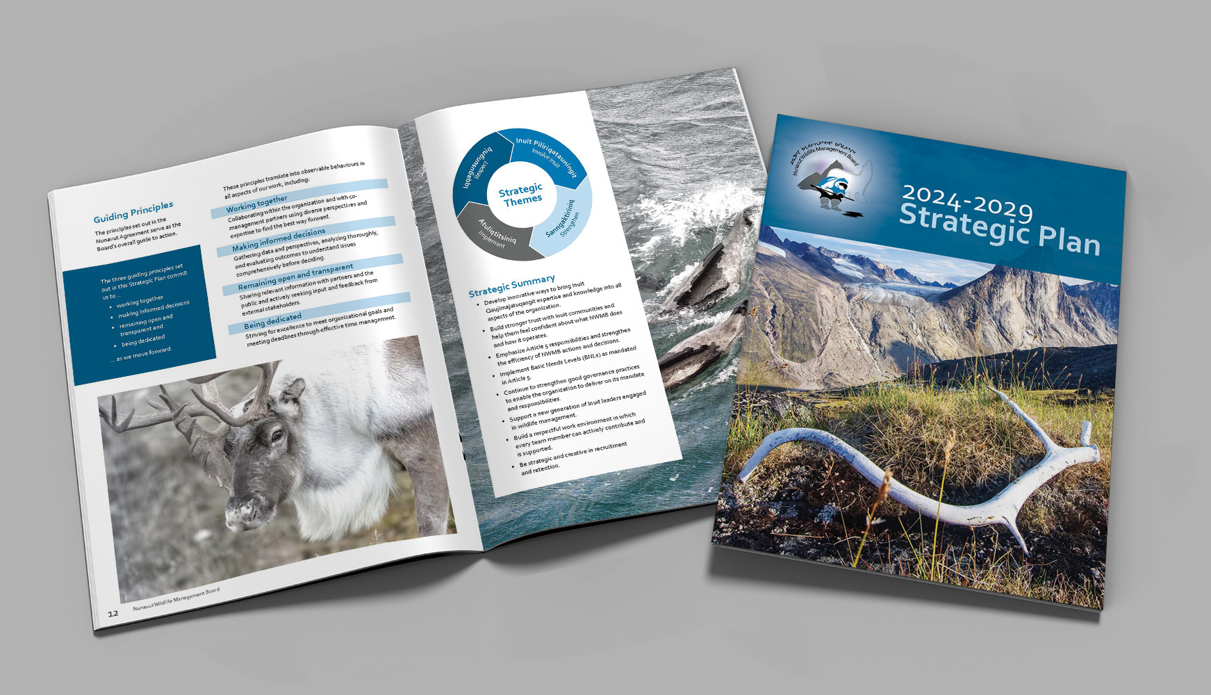 Strategic plan | Plan stratégique