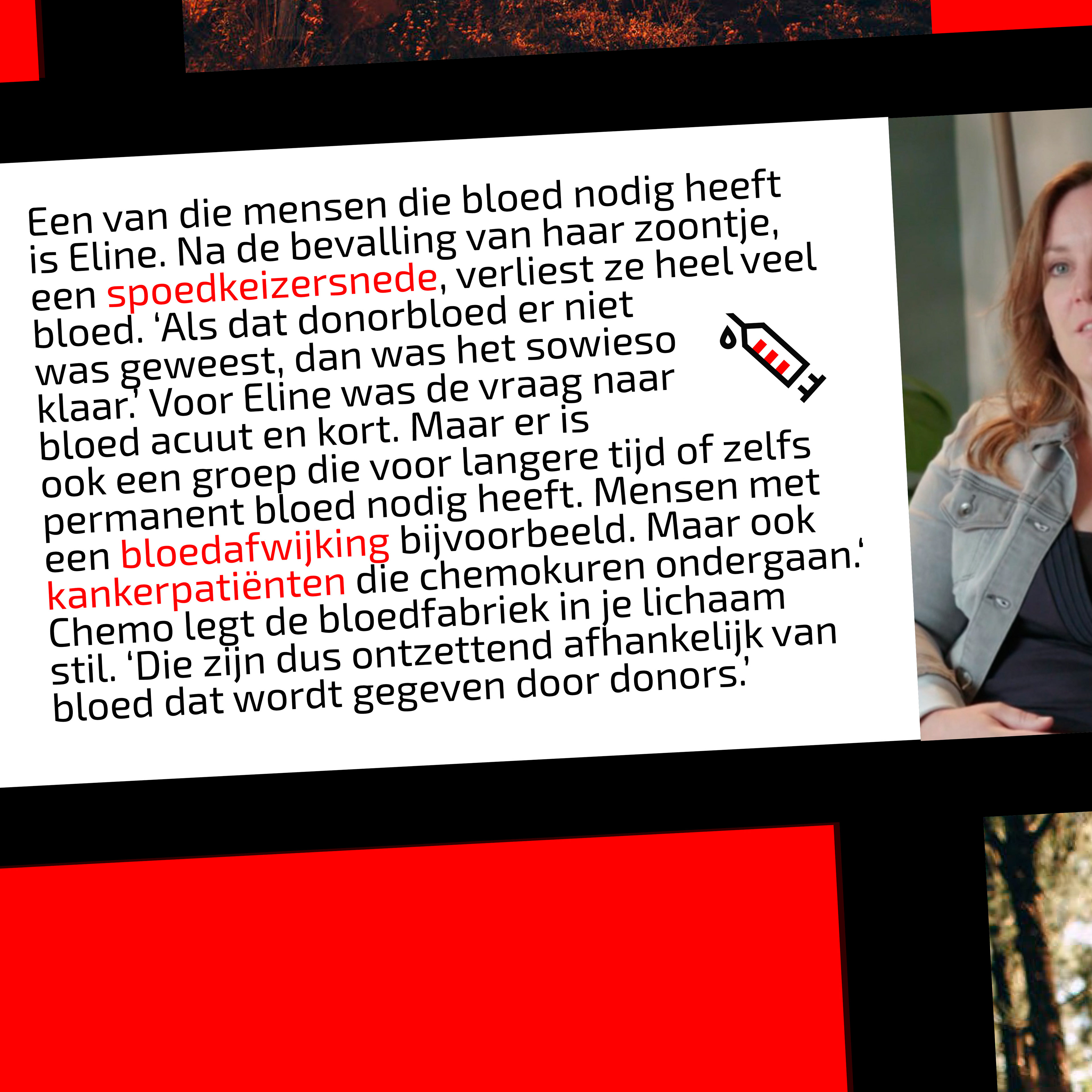 3e slide Artikel instagram post