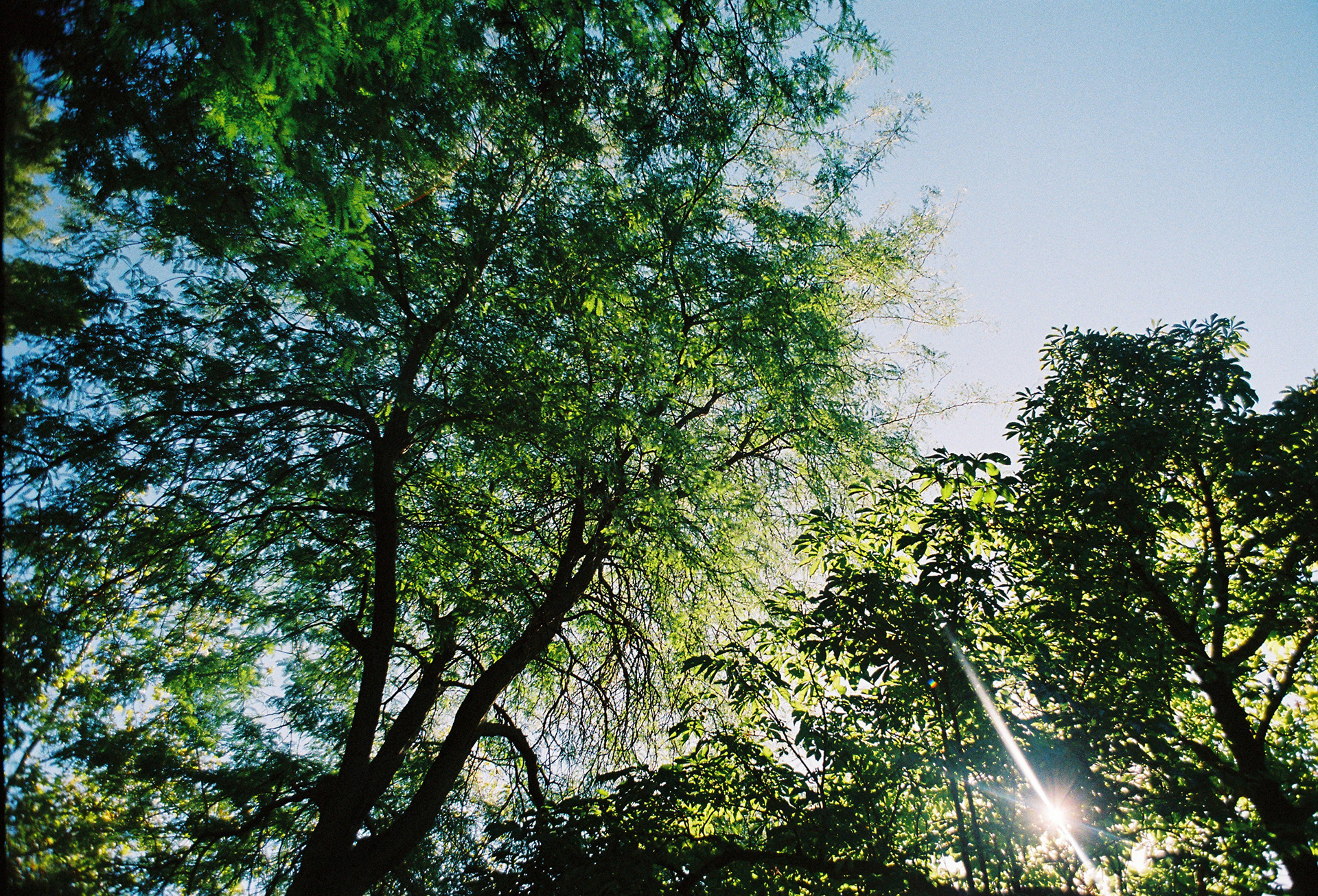 Madrid, 2022, Canon AV-1