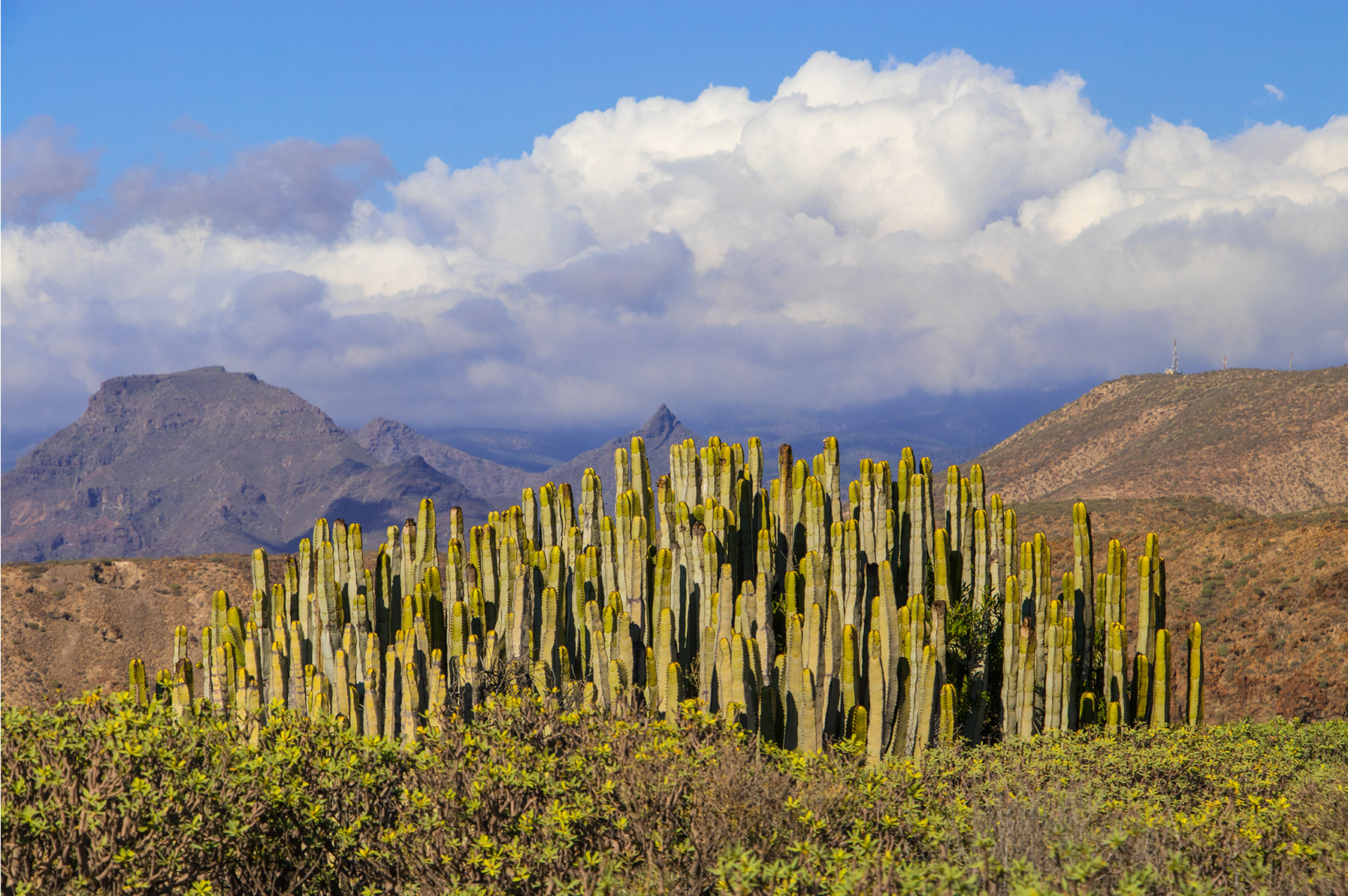 Tenerife, 2018, Canon EOS