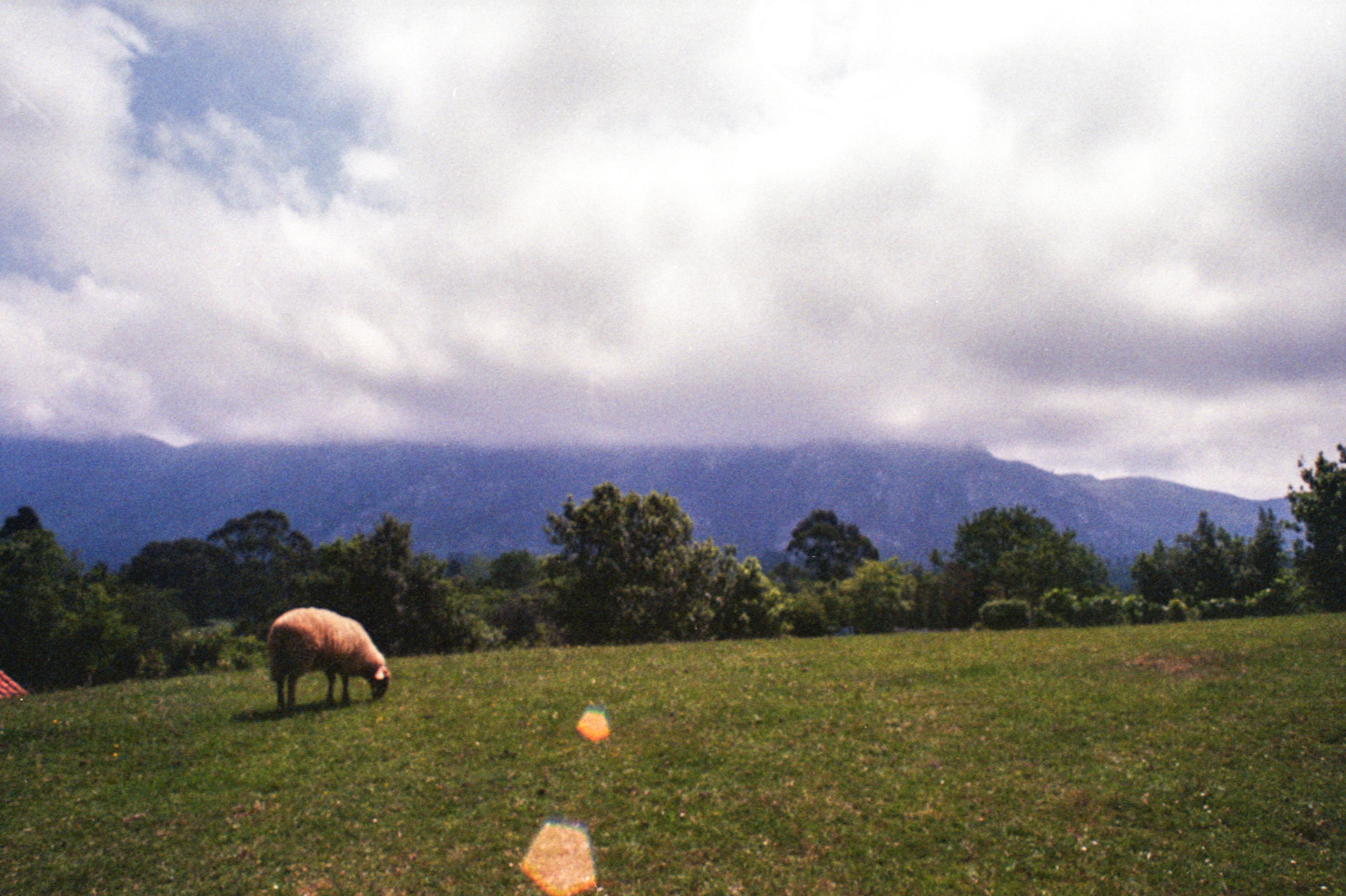 Asturias, 2023, Canon AV-1