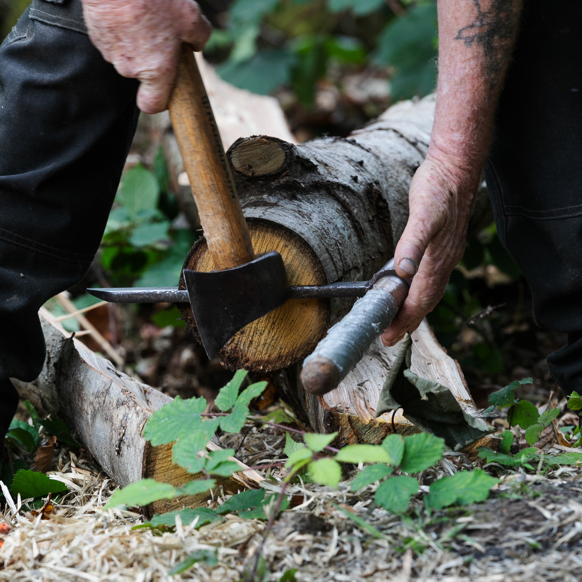 Jim starting to cleave the timber using a Froe in the centre of the log