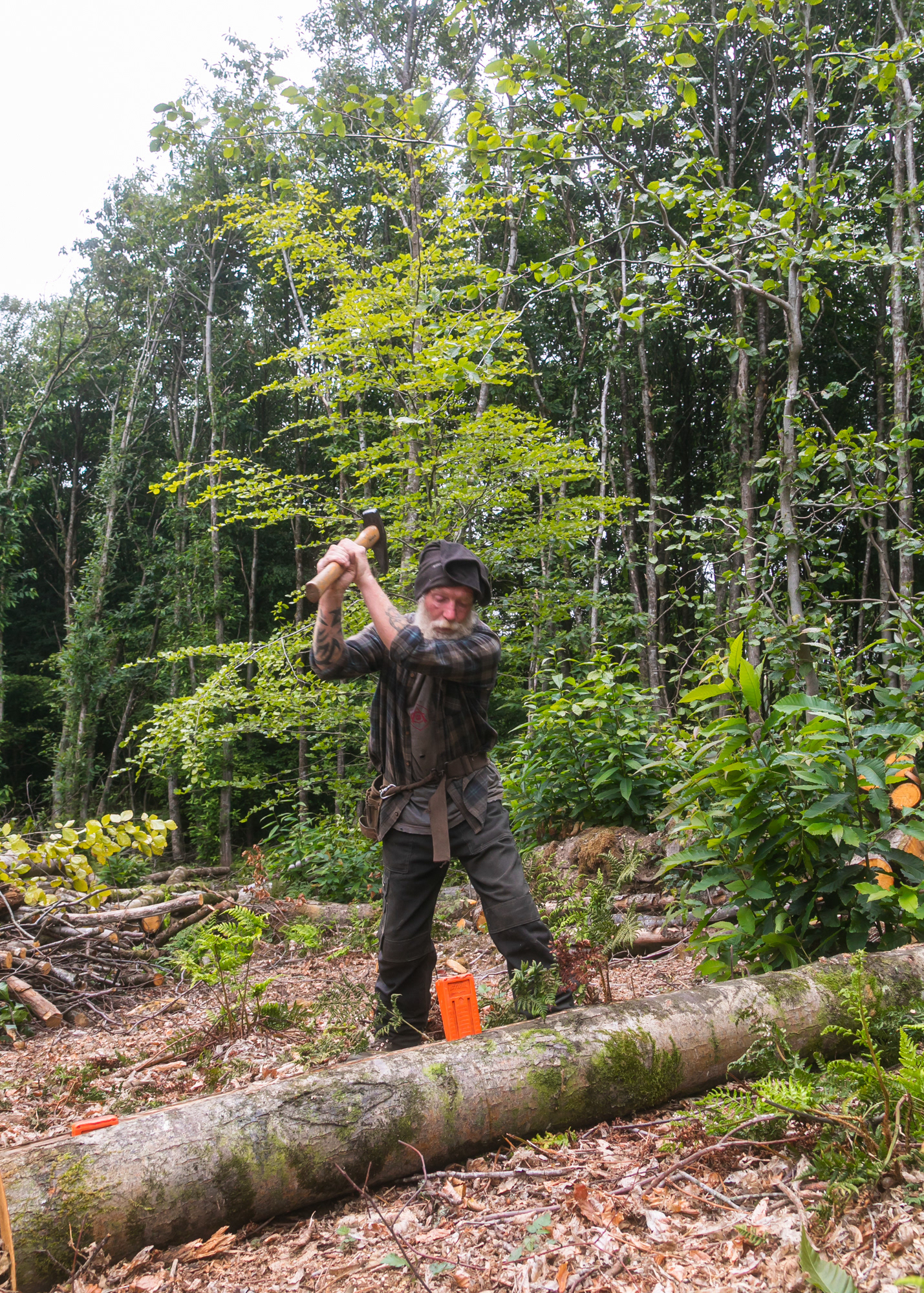 The sweet chesnut can be further split using the timber wedges