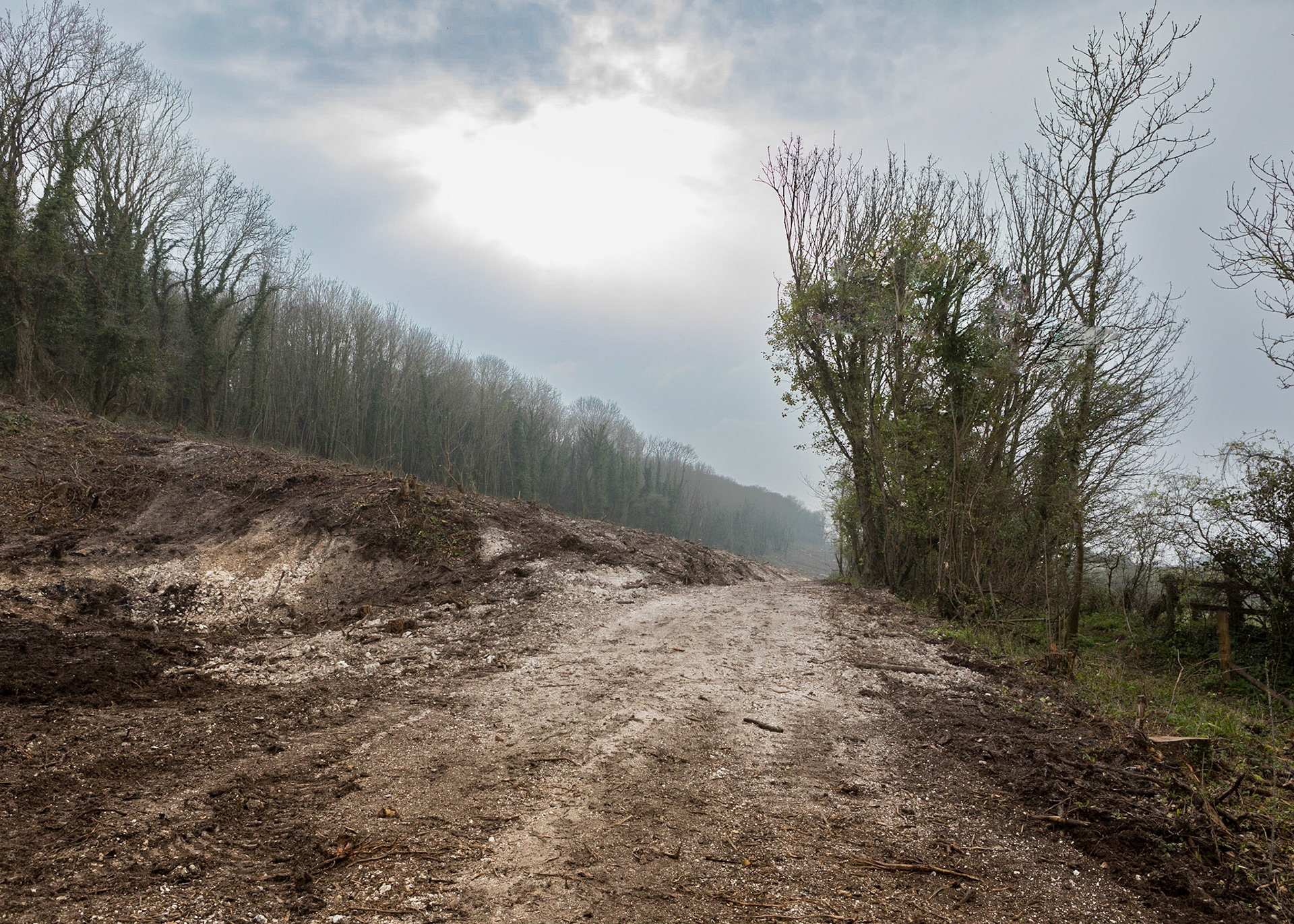 Tennyson Down after ash clearance