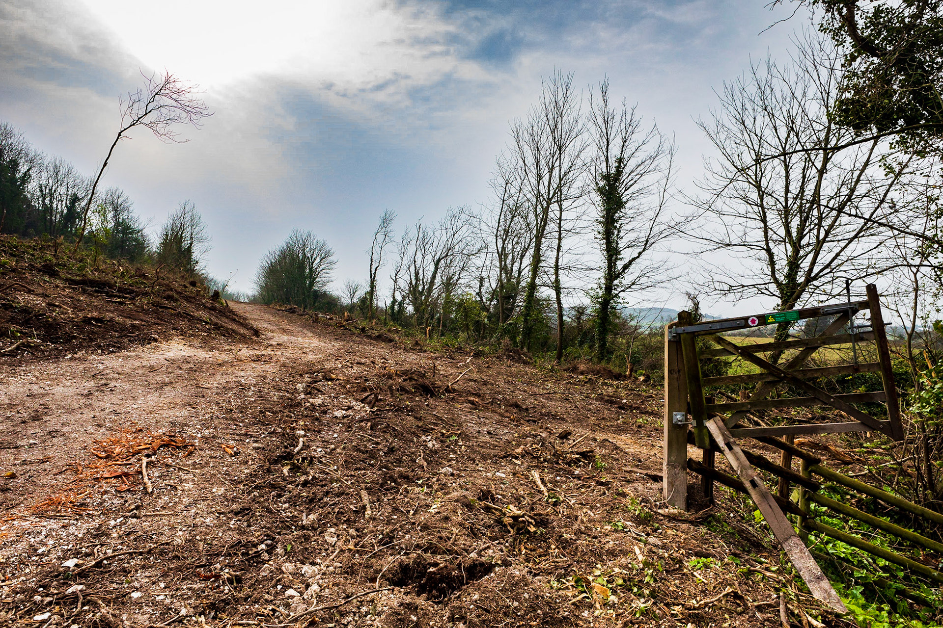 Tennyson Down after ash clearance
