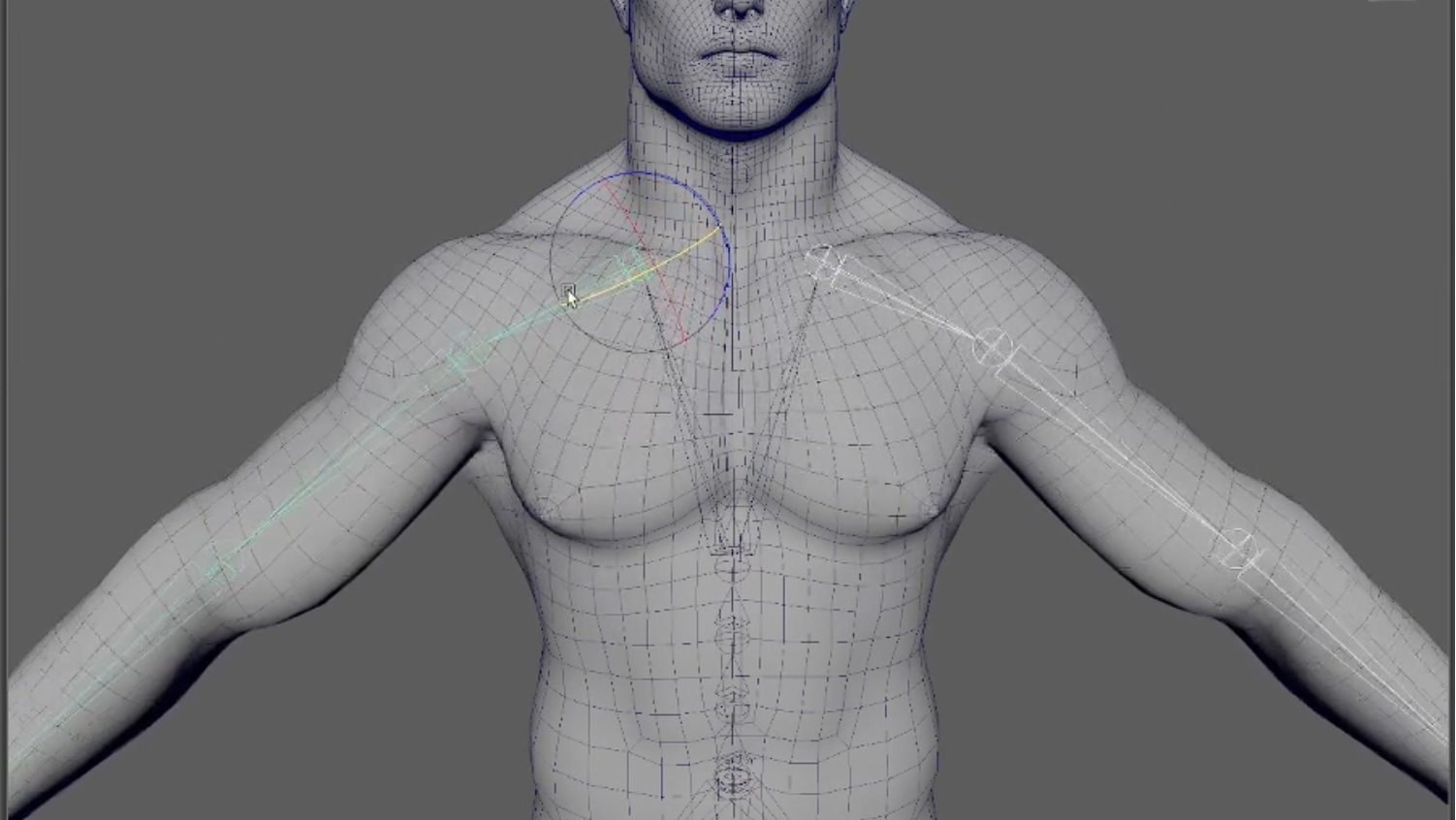 Anisha Hayes - RIGGING