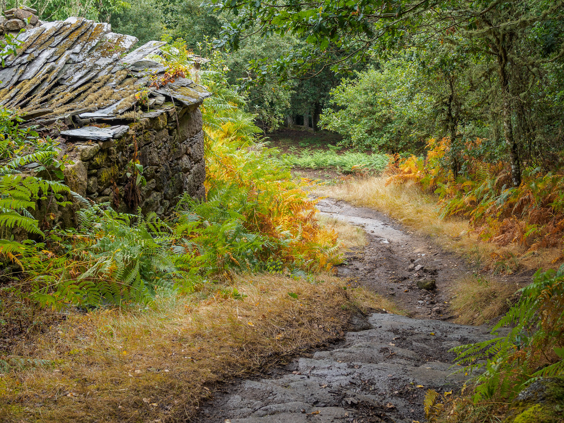 De Vilalba a Seixón
