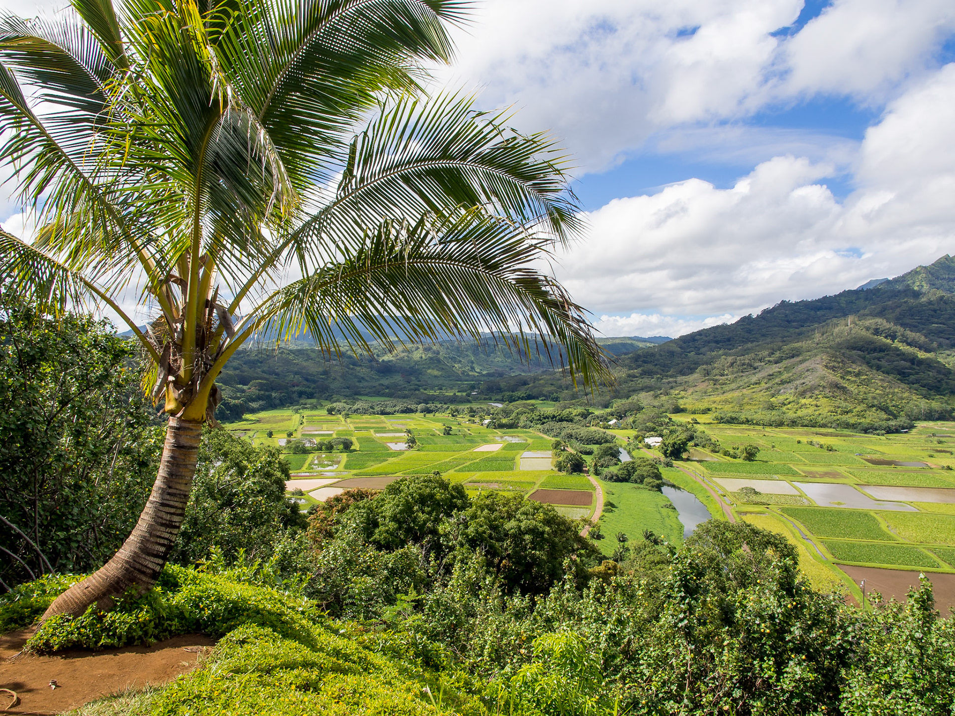 Hanalei National Wildlife Refuge