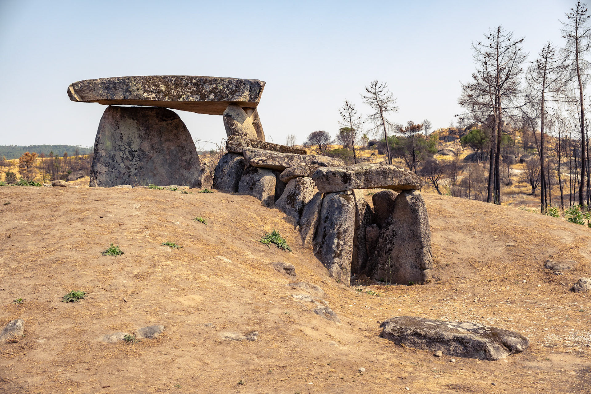 Anta do Penedo do Com