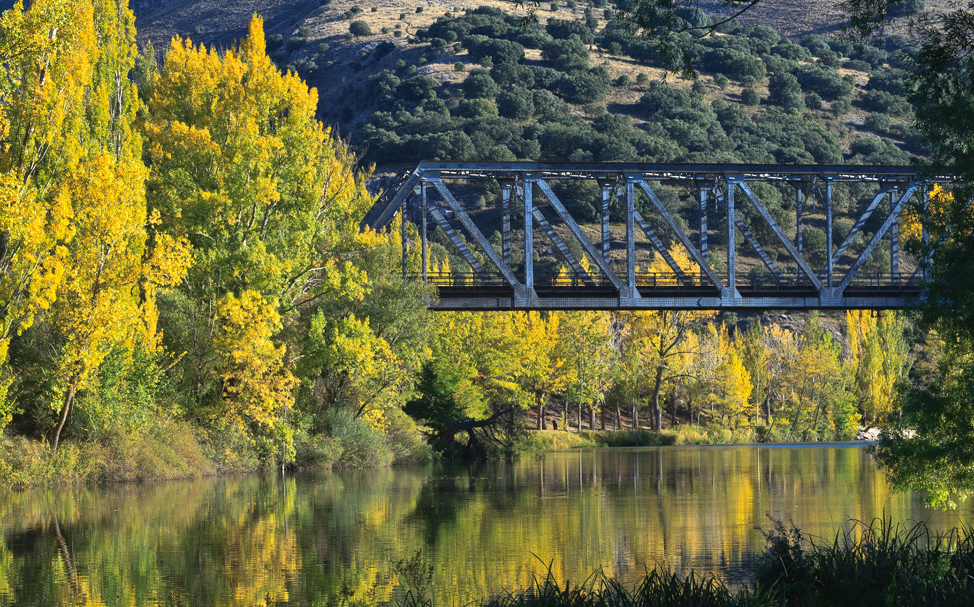 Paseo de San Prudencio