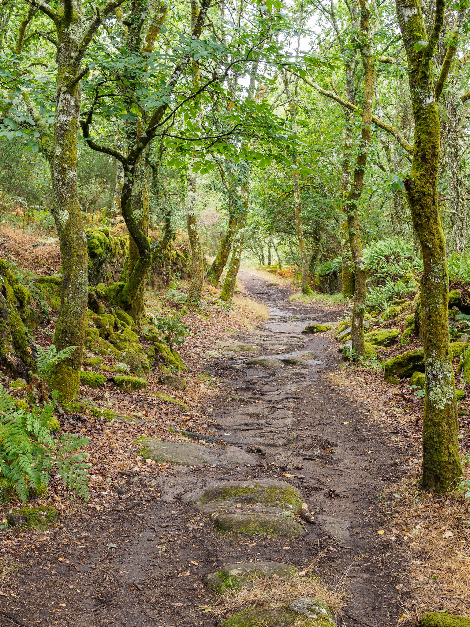De Vilalba a Seixón