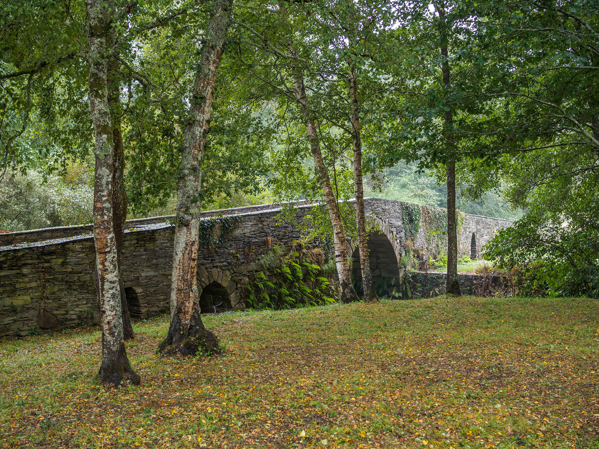 De Vilalba a Seixón
