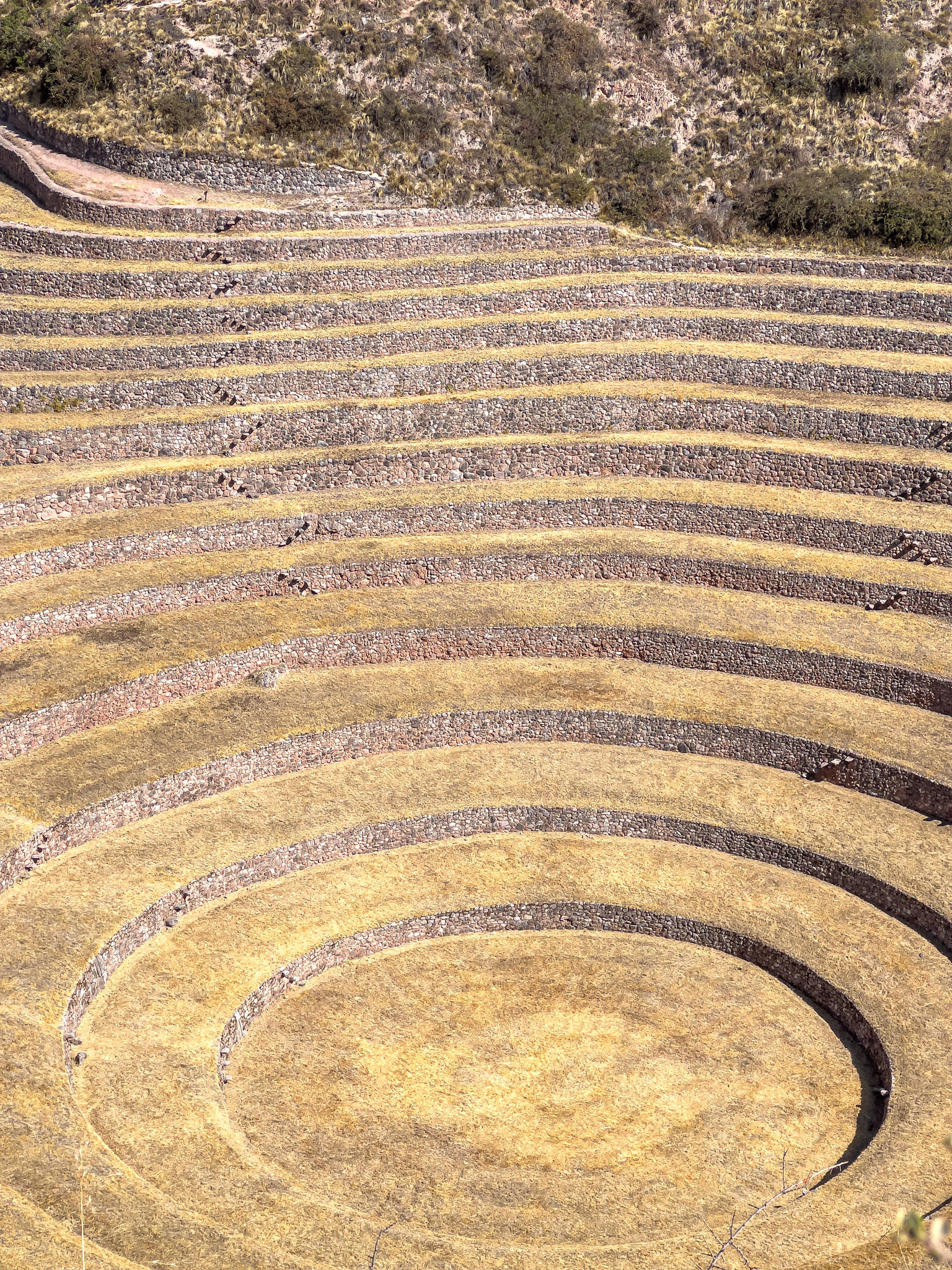 Moray