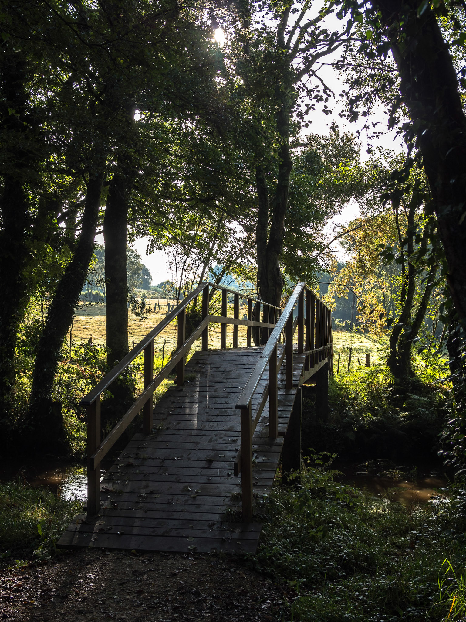 De Abadín a Vilalba