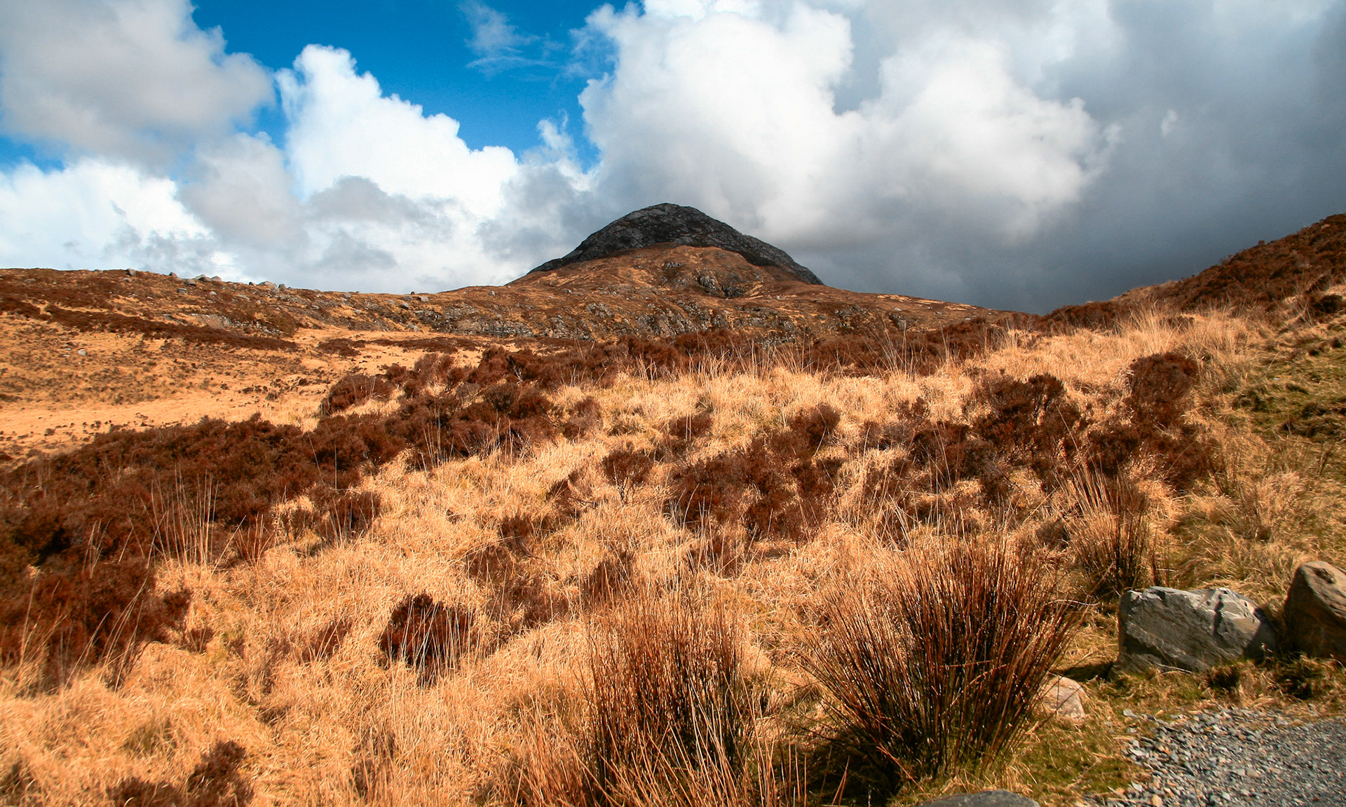Connemara National Park