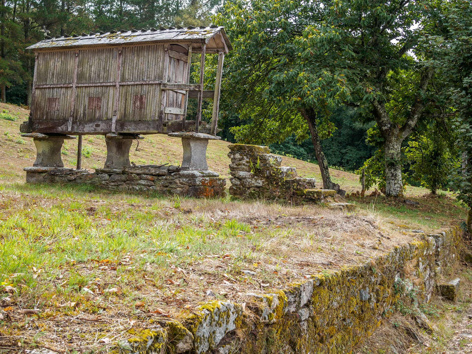 De Vilalba a Seixón