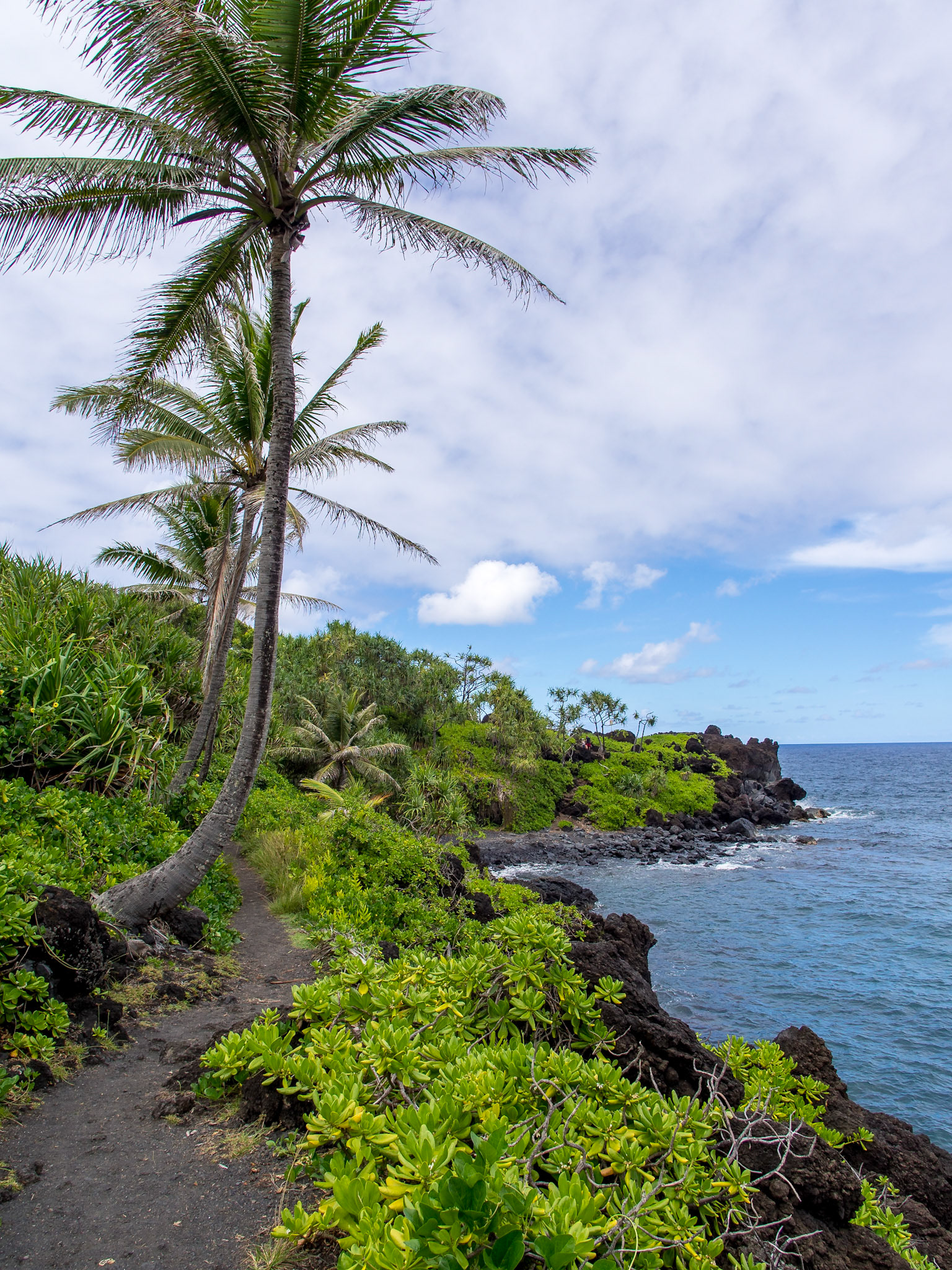 Waianapanapa Black Sand Beach