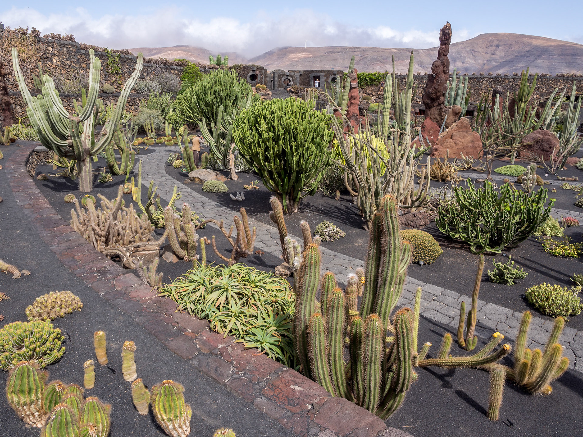 Jardín del Cactus