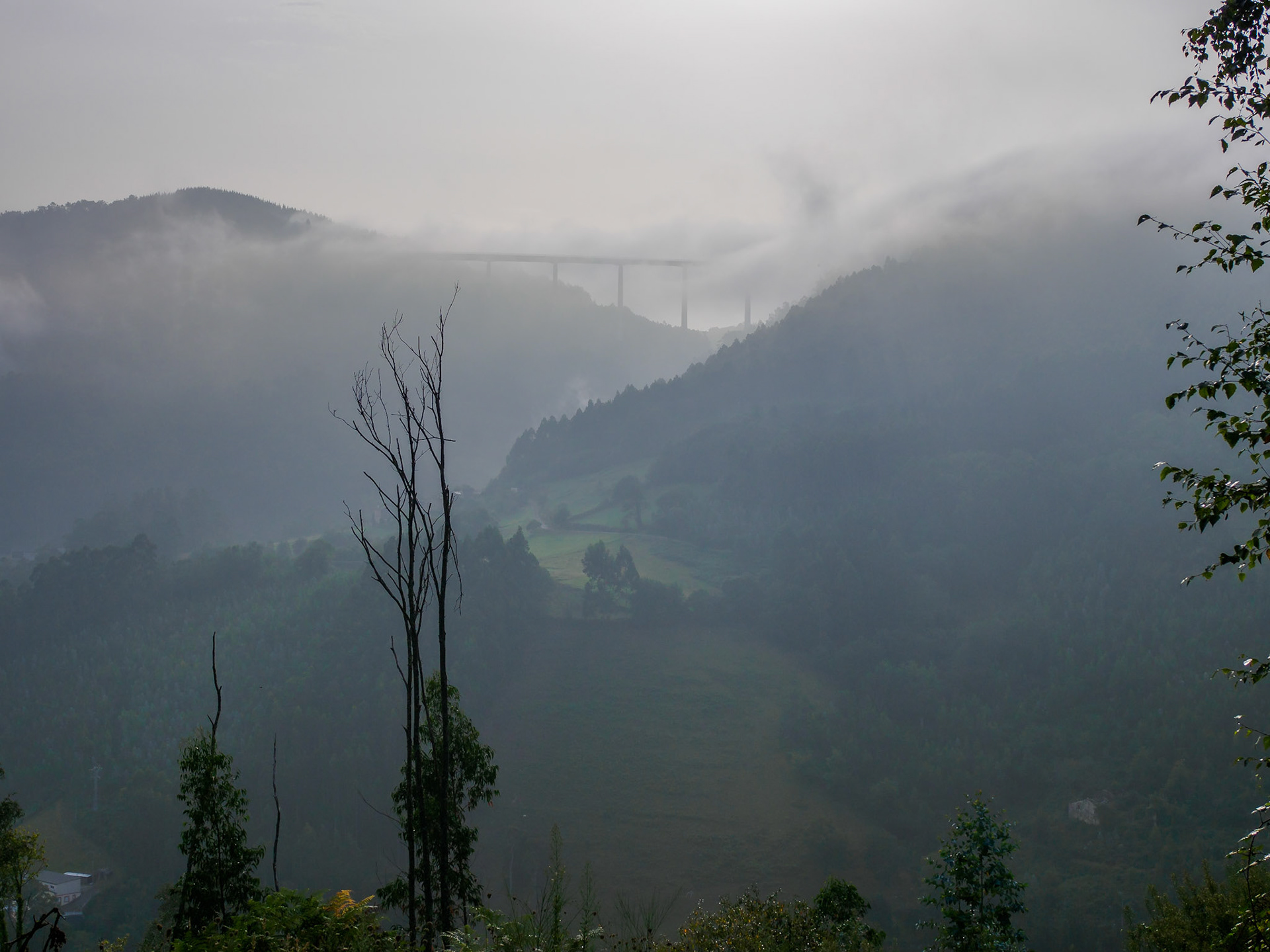 Autopista A8 entre la niebla