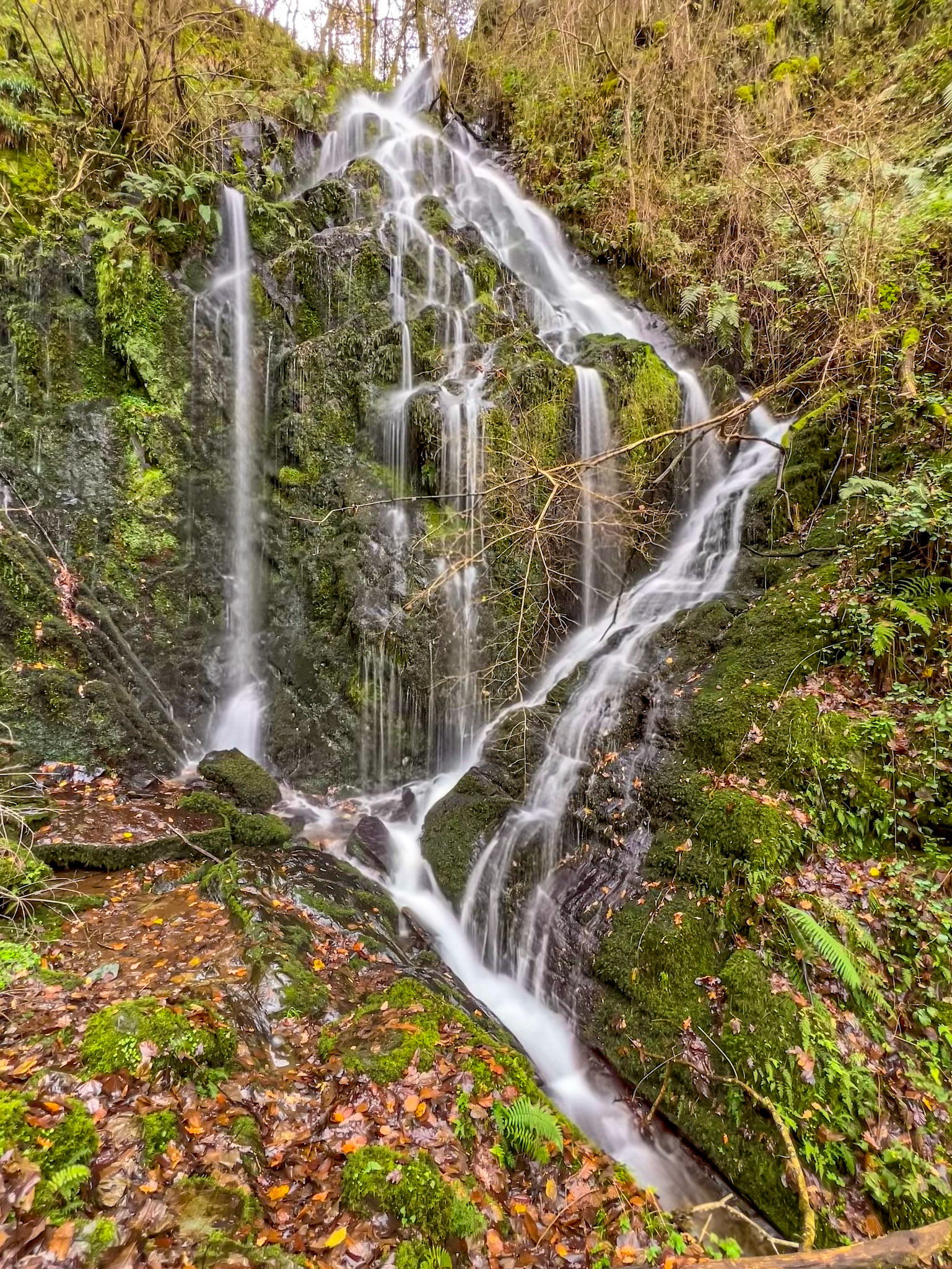 Cascada Seimeira