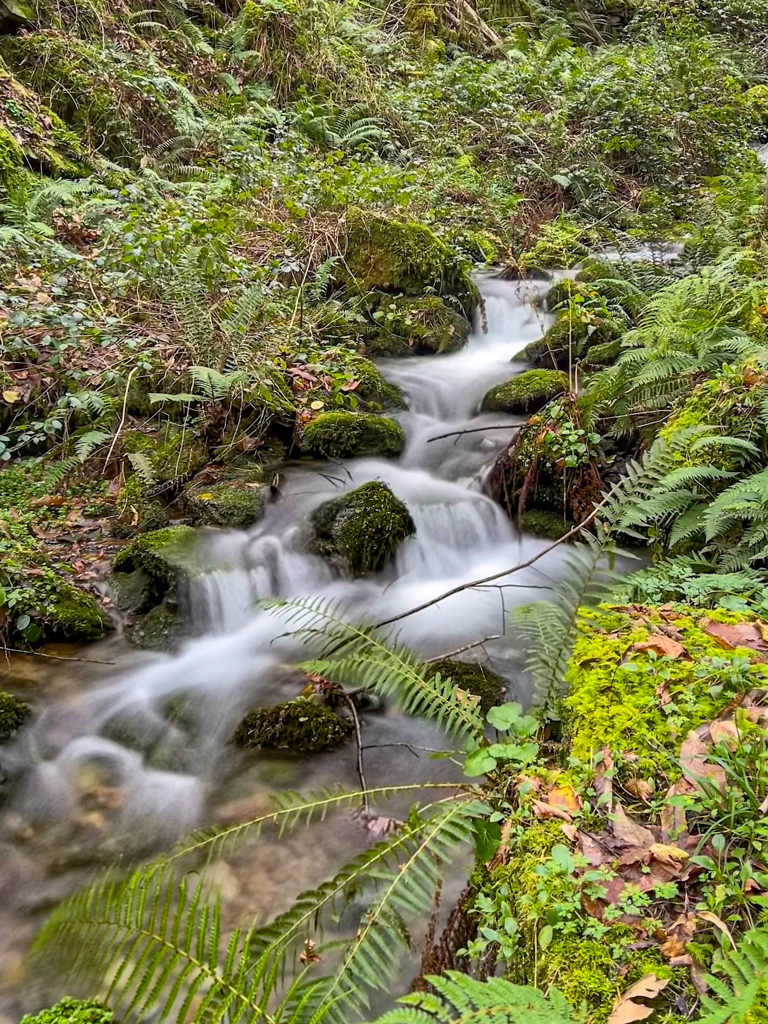 Ruta de la Seimeira
