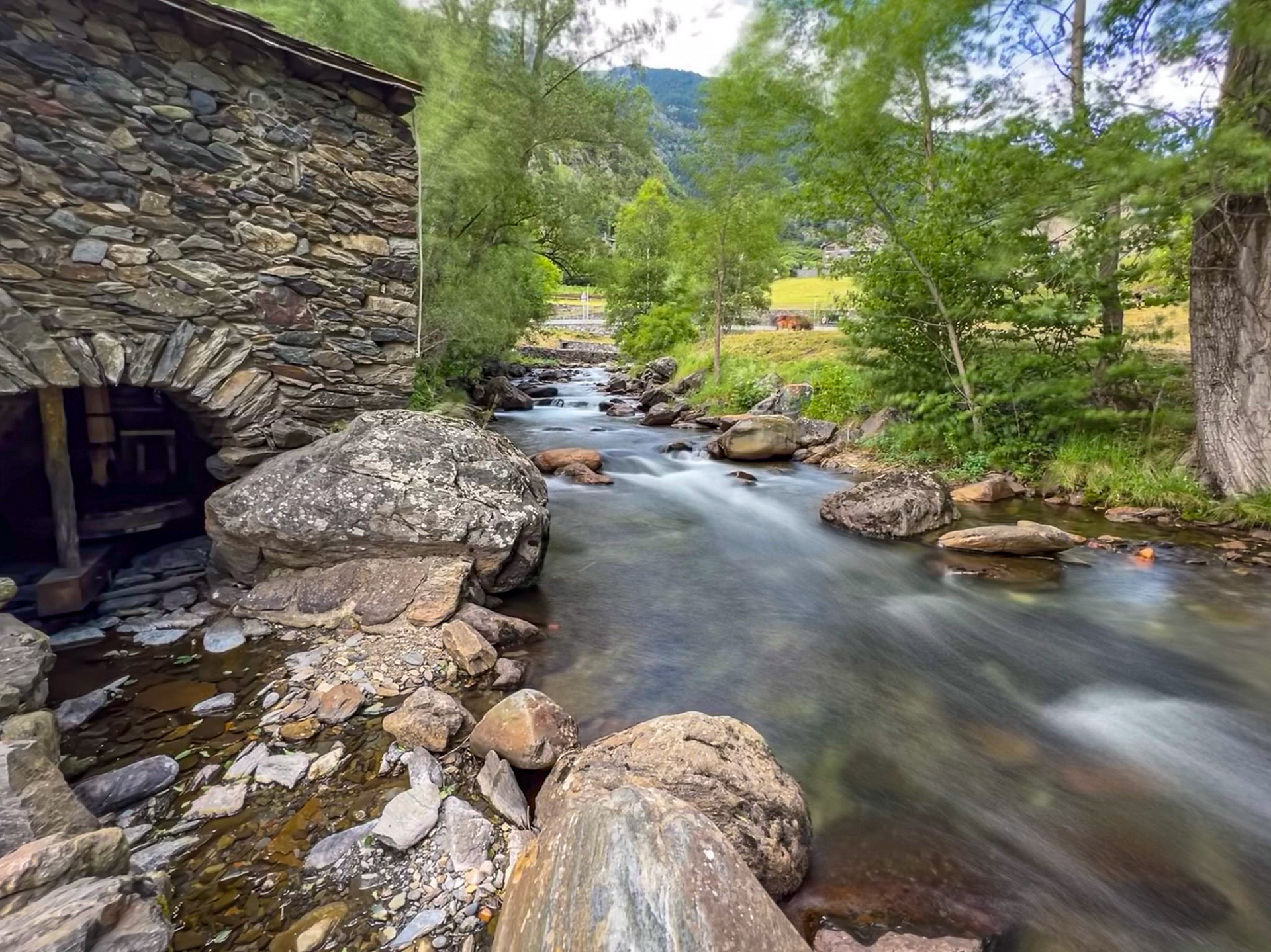 Mola i Serradora de Cal Pal