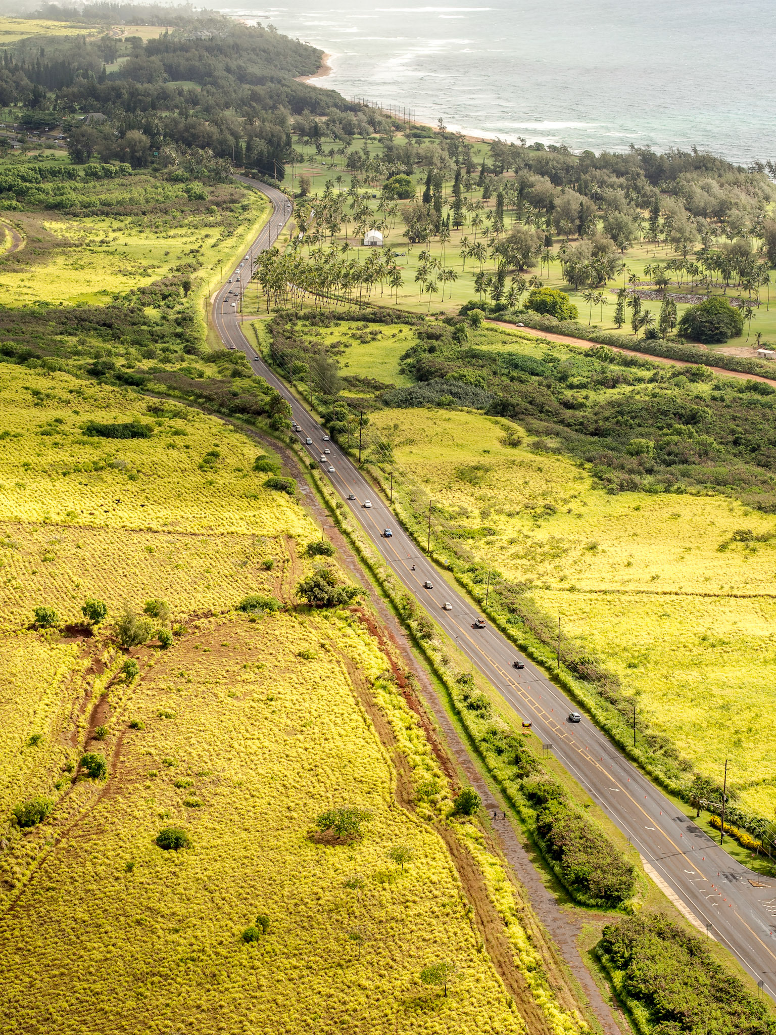 Kuhio Hwy