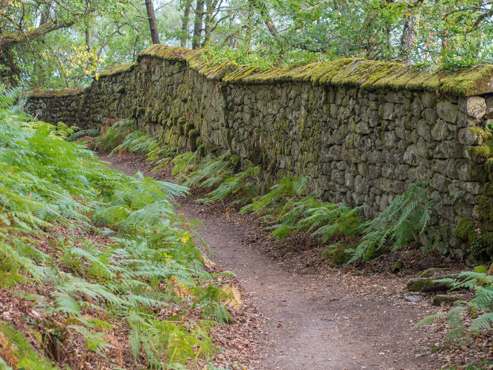 Monasterio de Santo Estevo