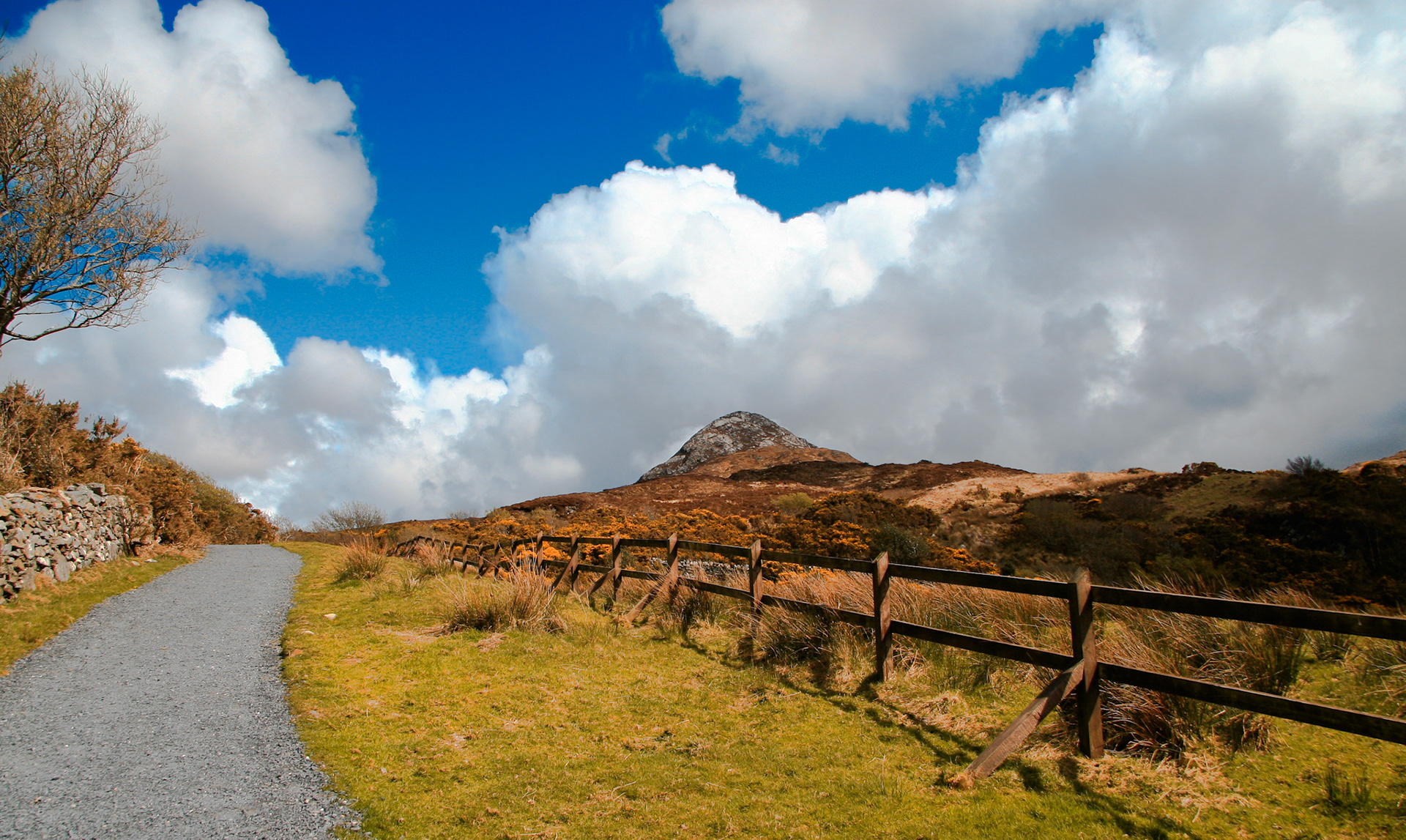 Connemara National Park