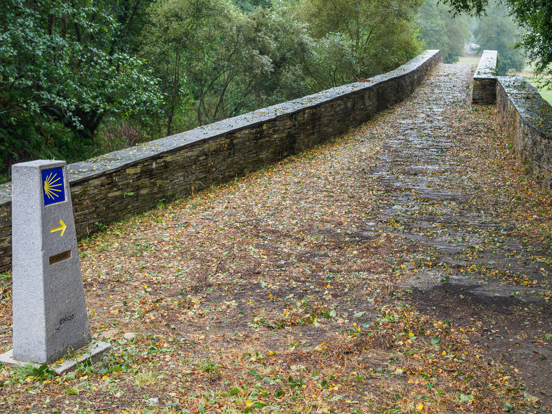 De Vilalba a Seixón