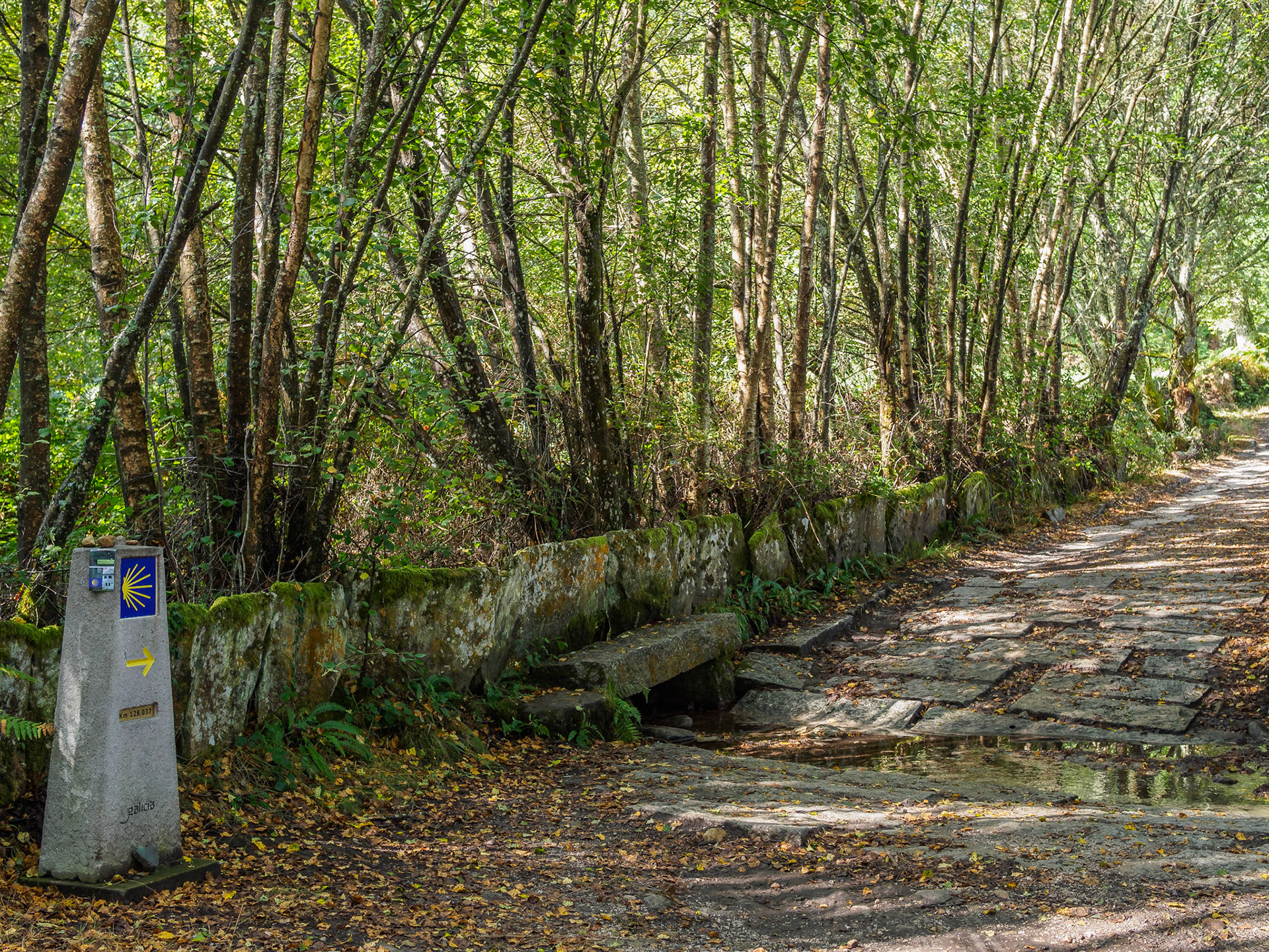 De Abadín a Vilalba