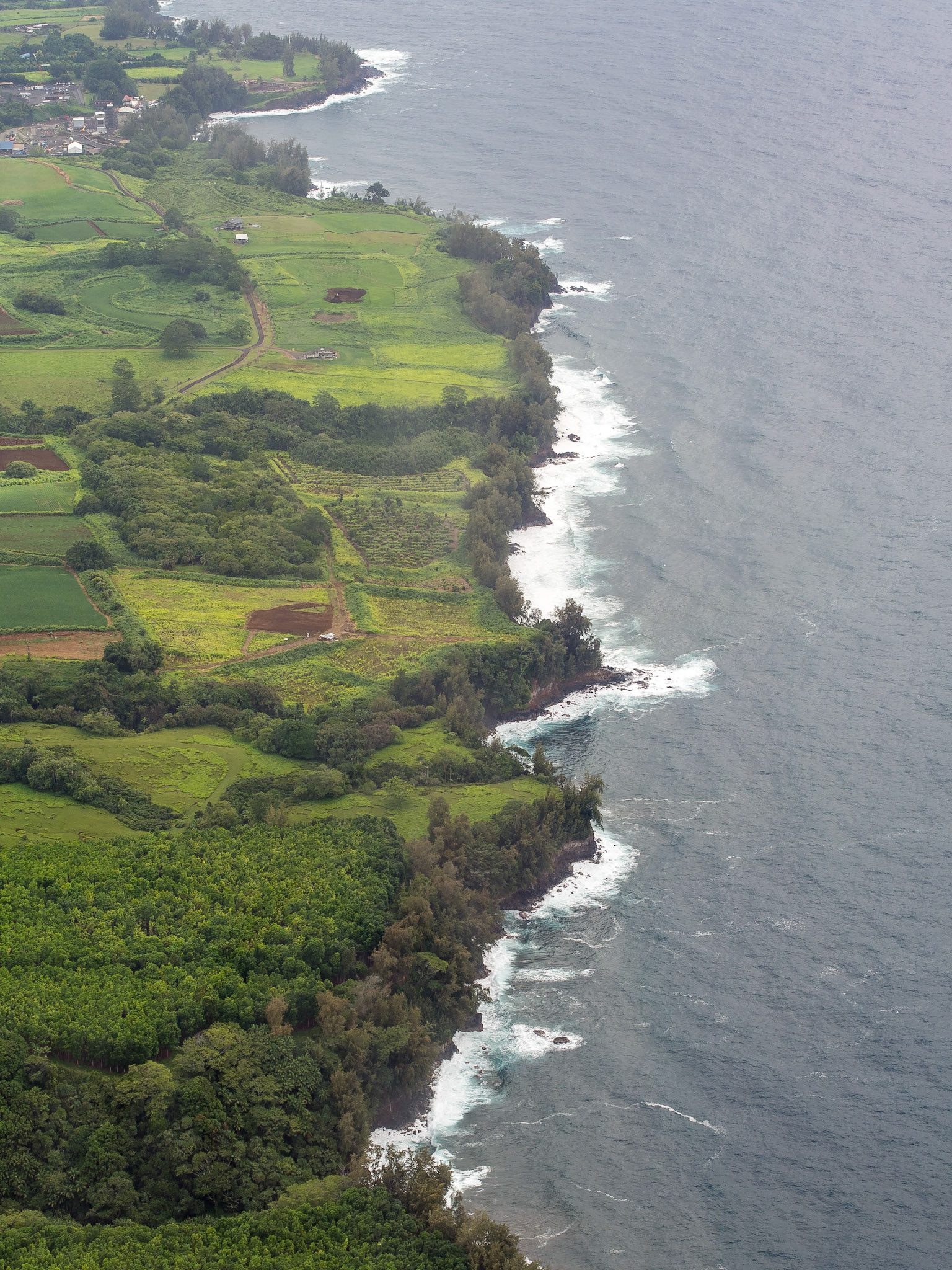 Kohala Coast