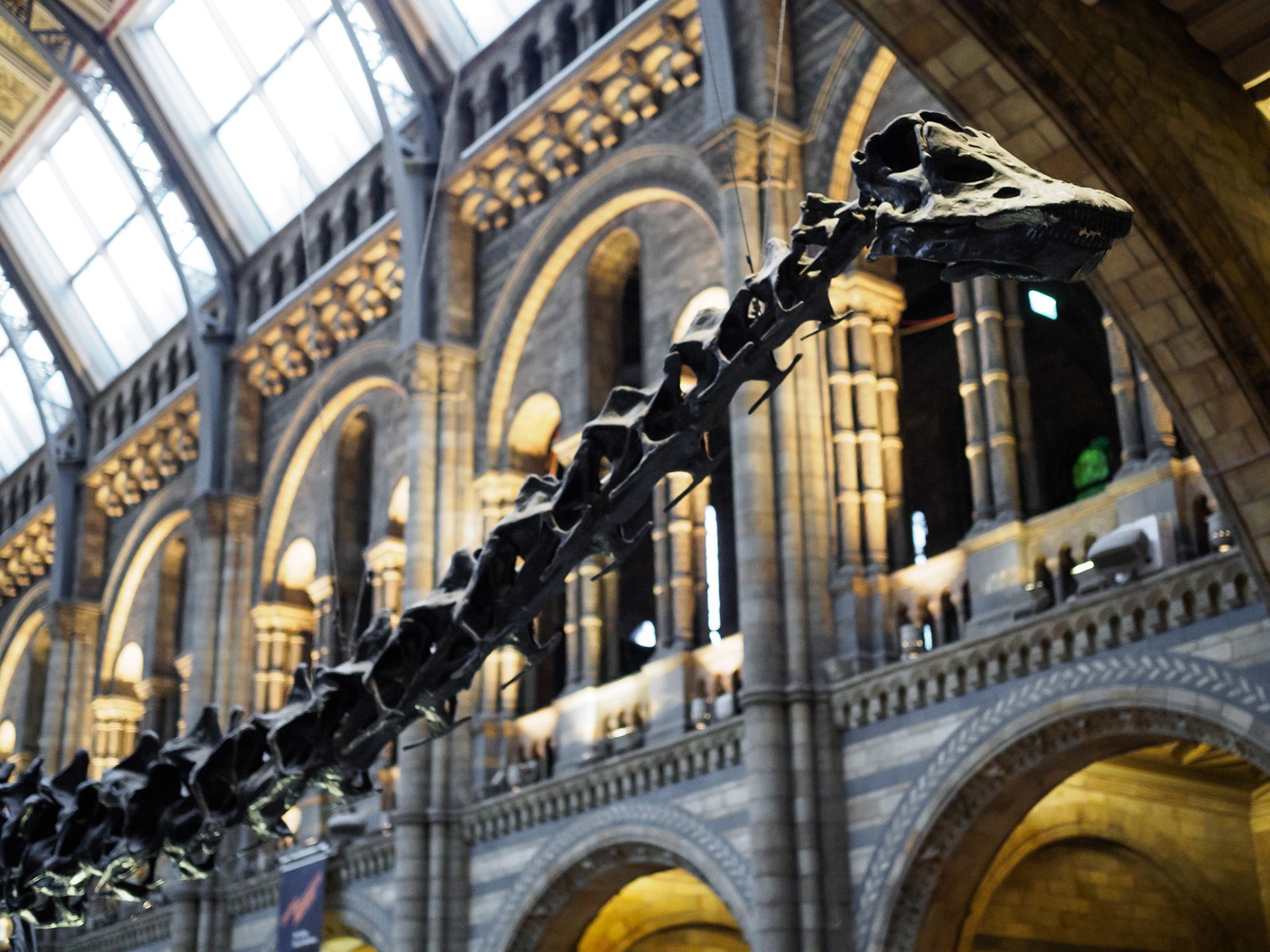 Natural History Museum