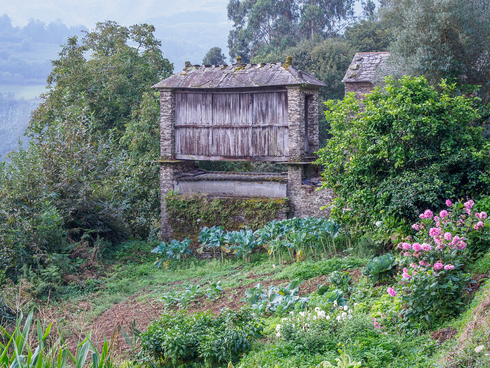 De Mondoñedo a Abadín