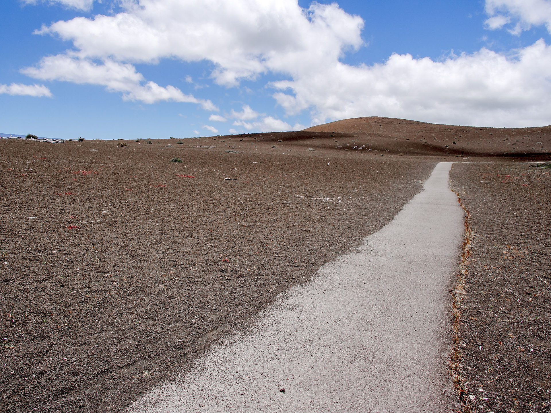 Devastation Trail