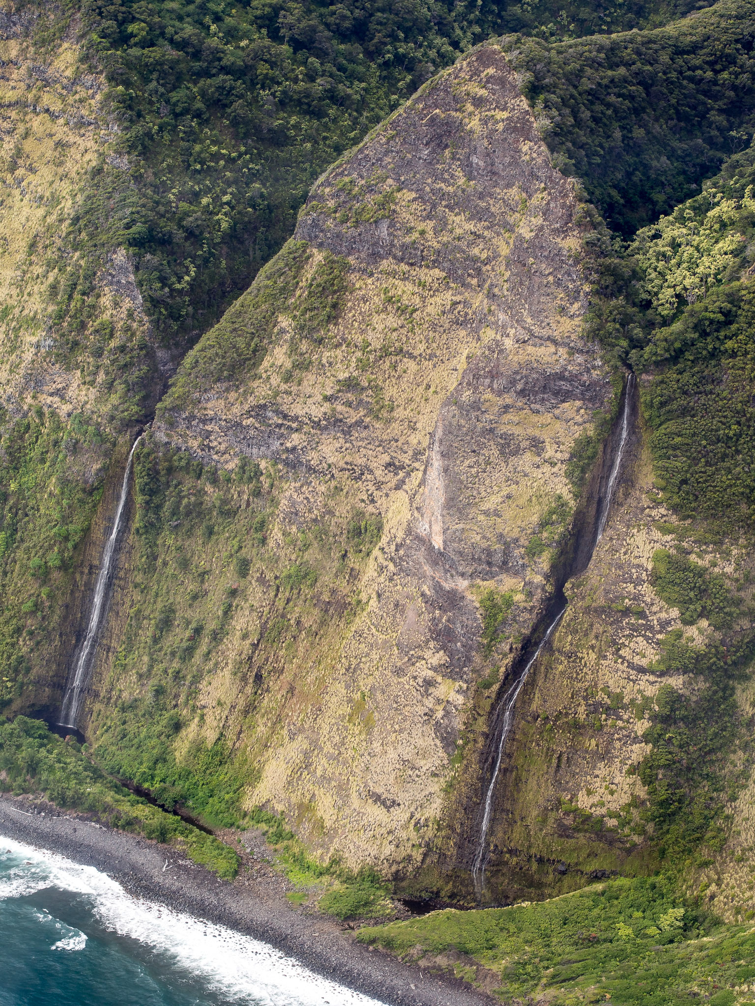 Waipio Coast