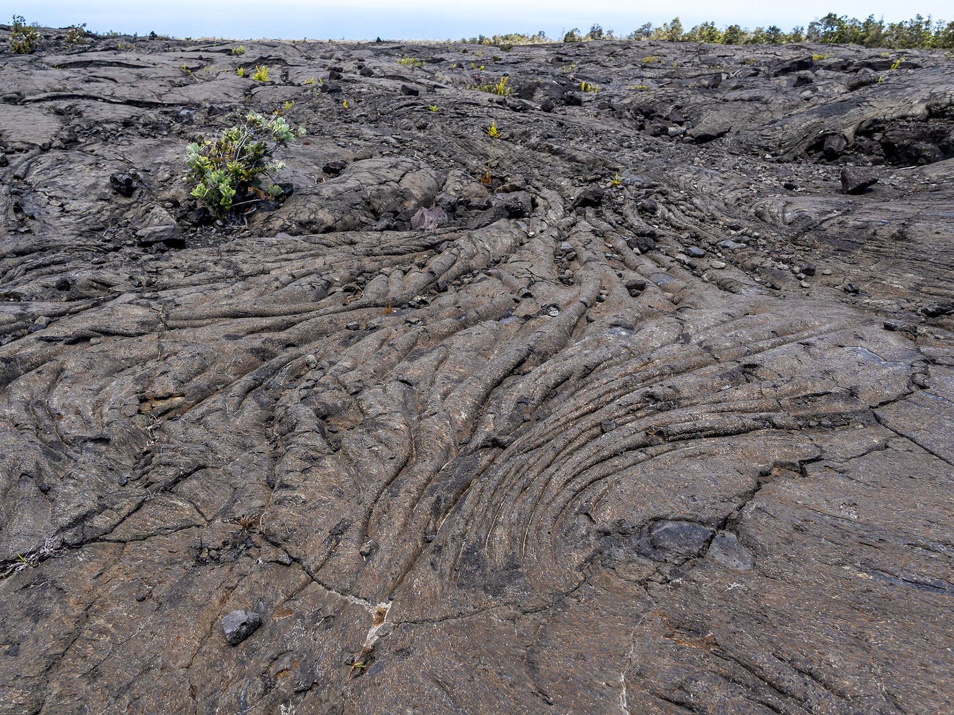 Pāhoehoe lava