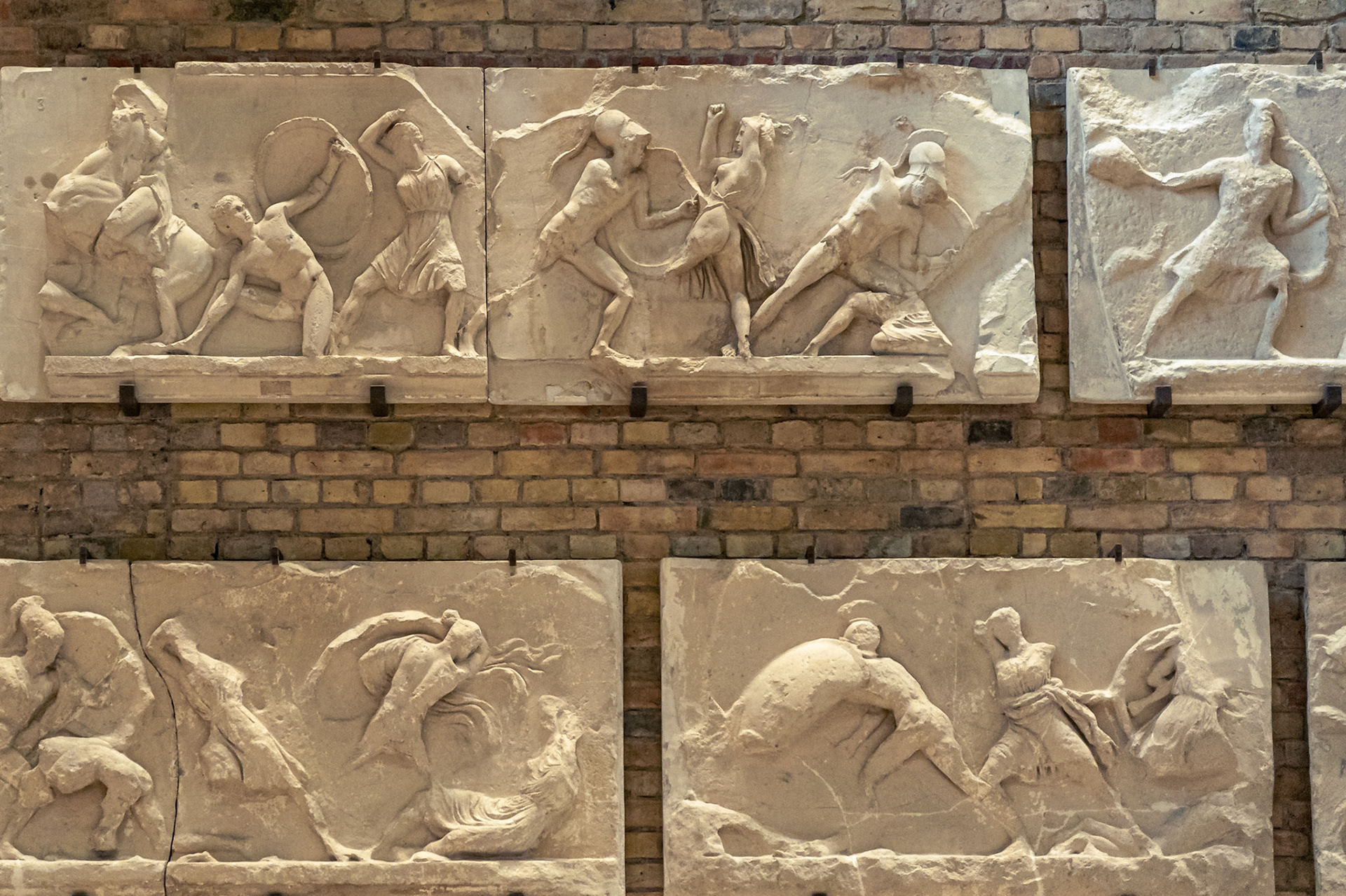 Metopas del Partenón (Neus Museum)