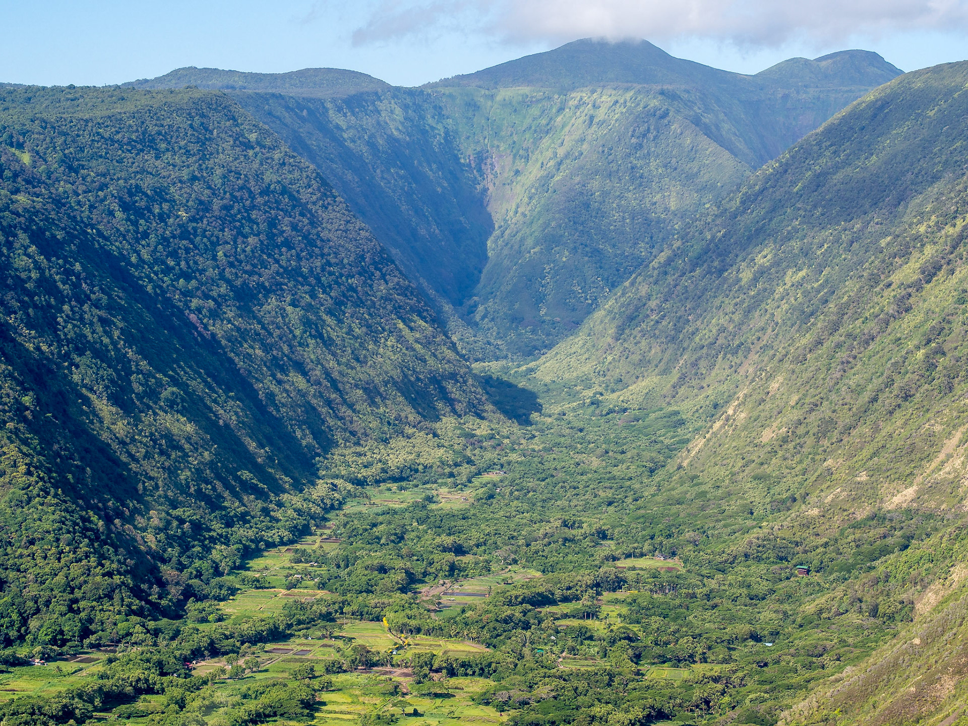 Waipio Valley