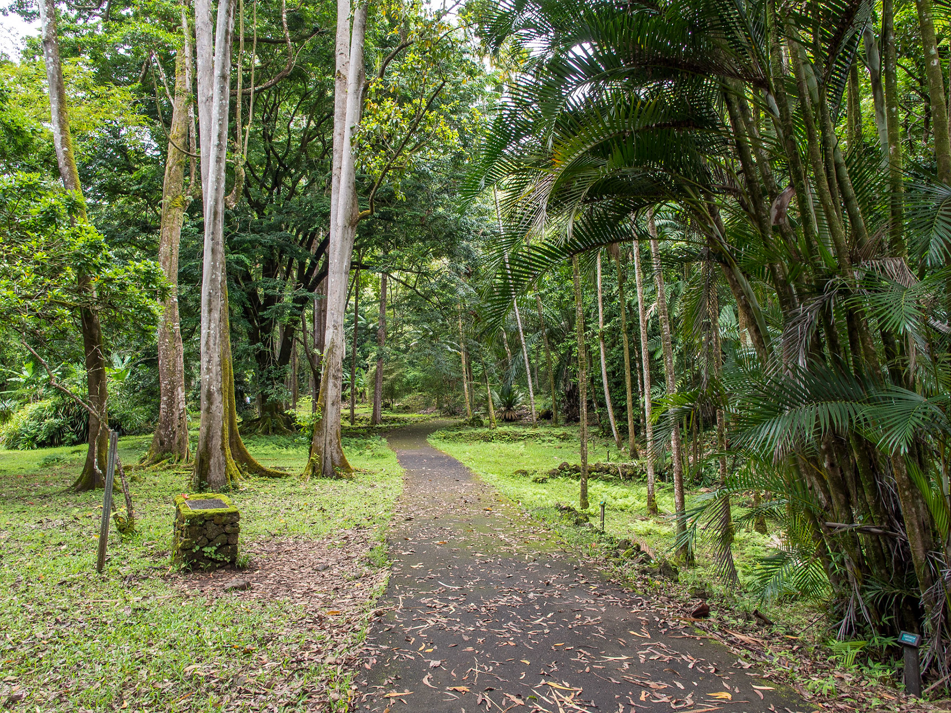 Ke'anae Arboretum