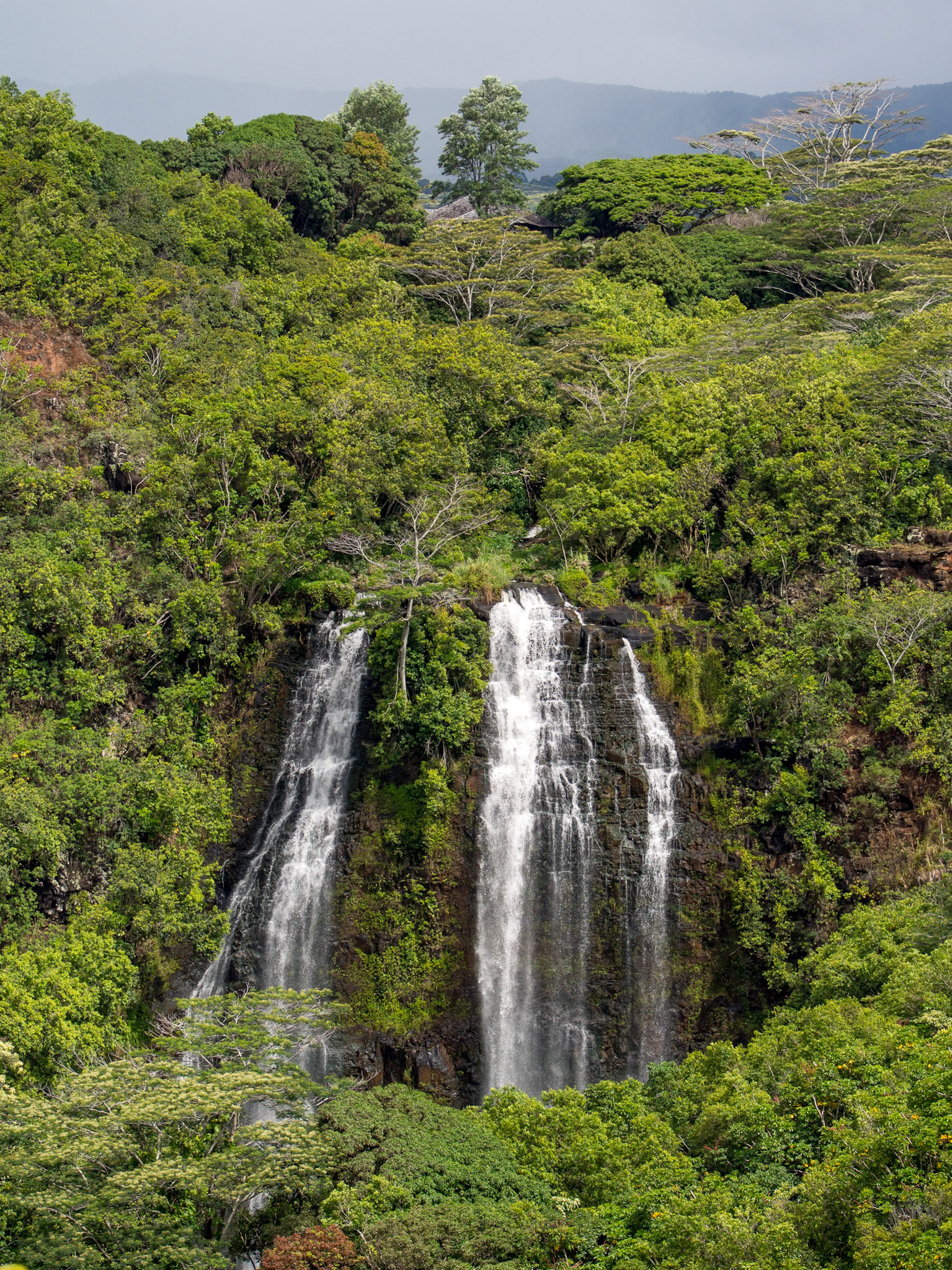 Wailua Falls