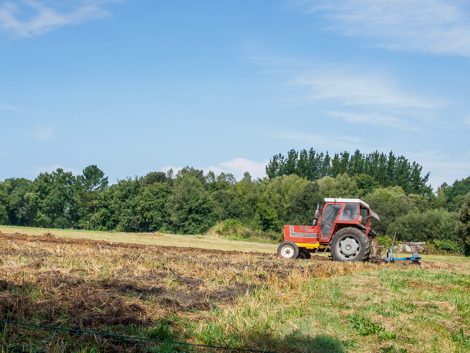 De Abadín a Vilalba