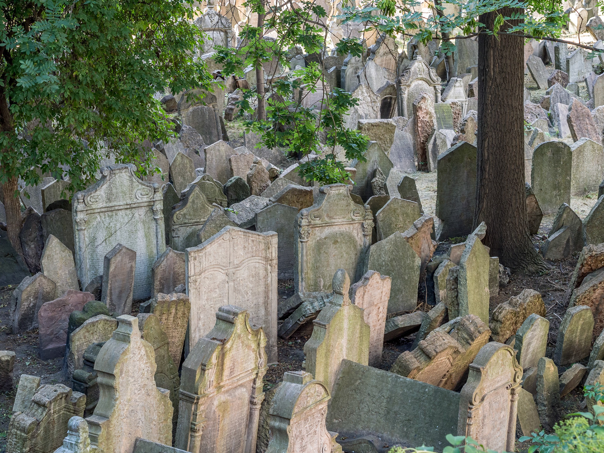 Cementerio Judío