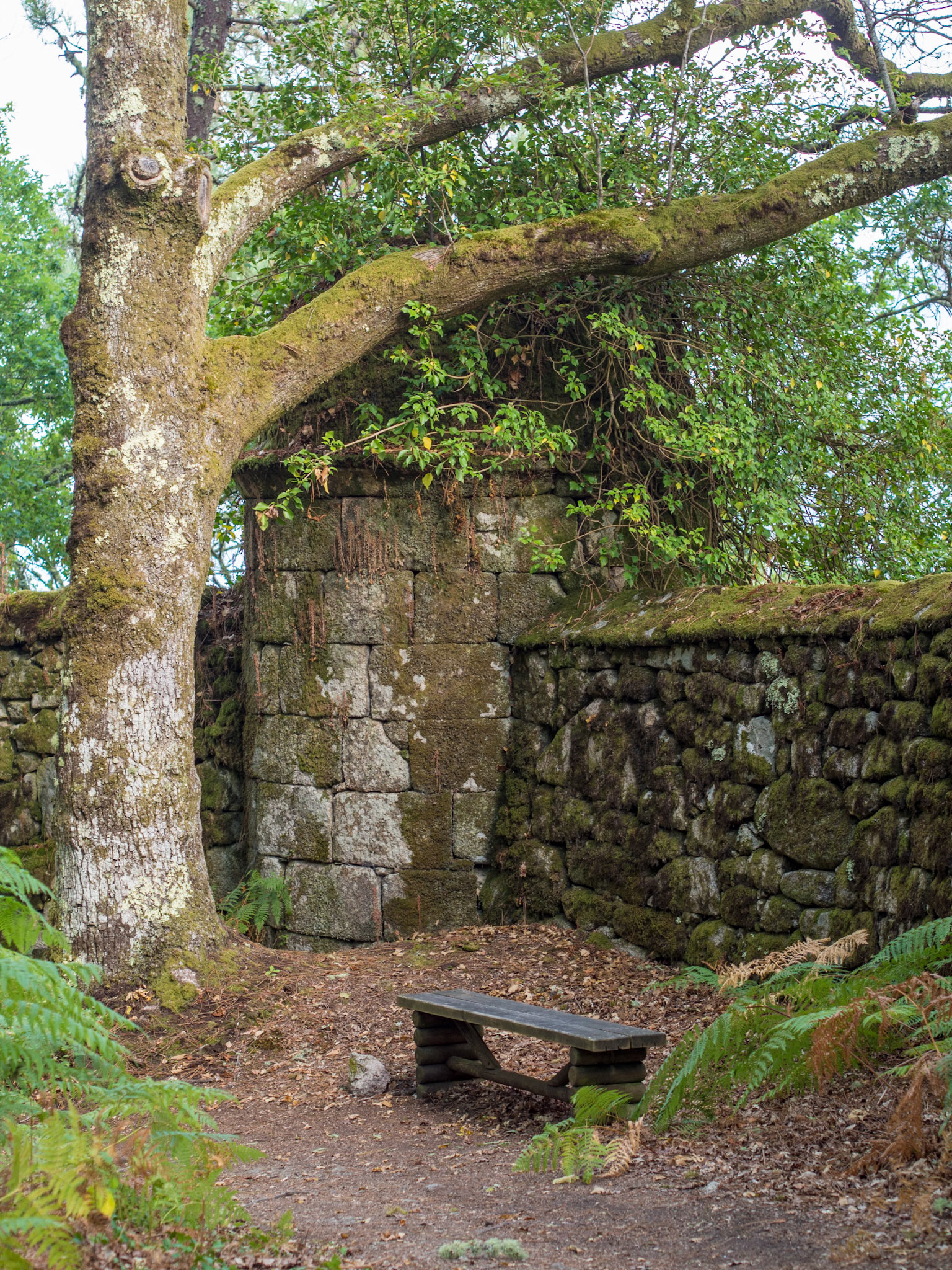 Monasterio de Santo Estevo