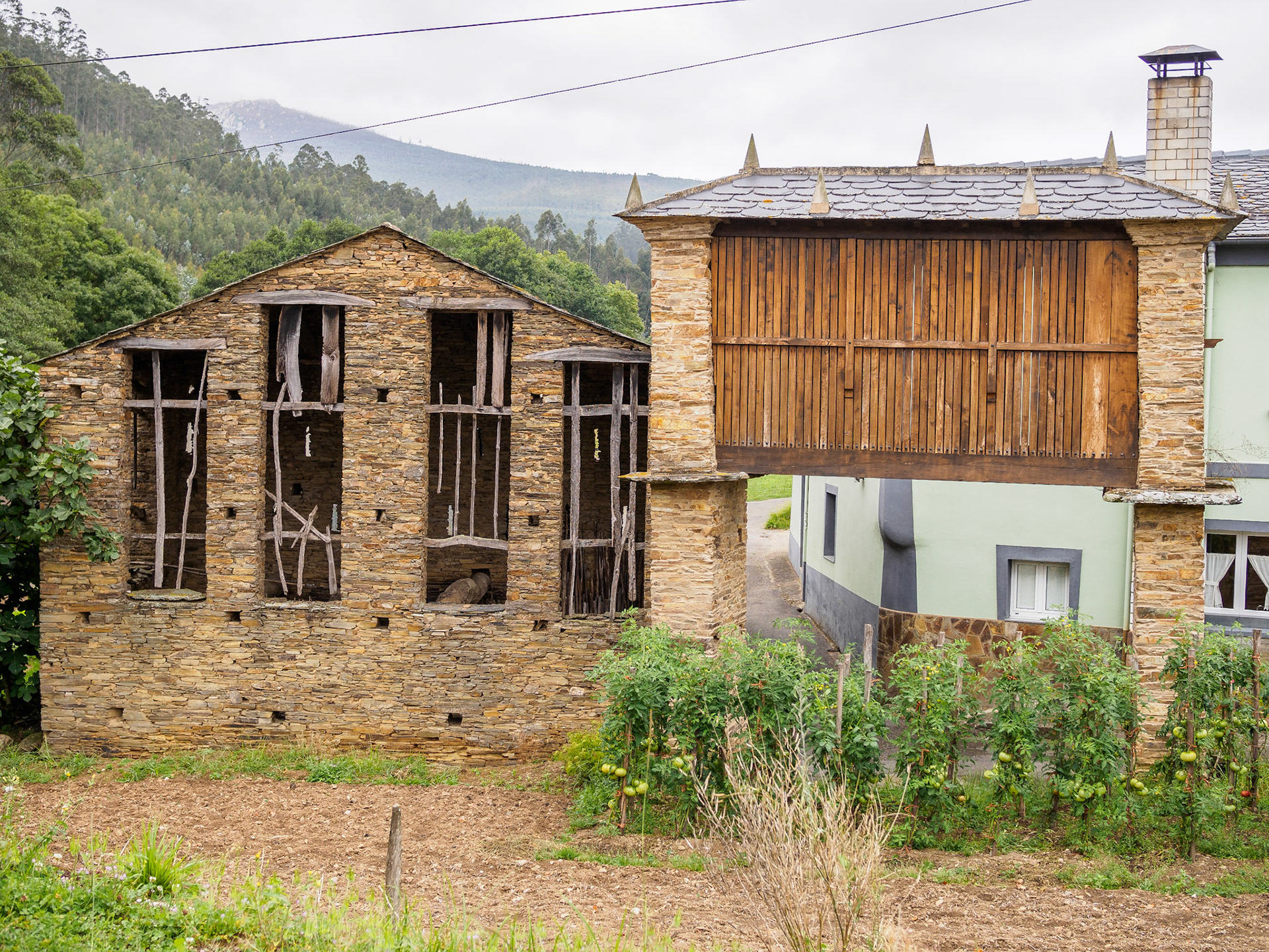 De Ribadeo a Villamartín Grande