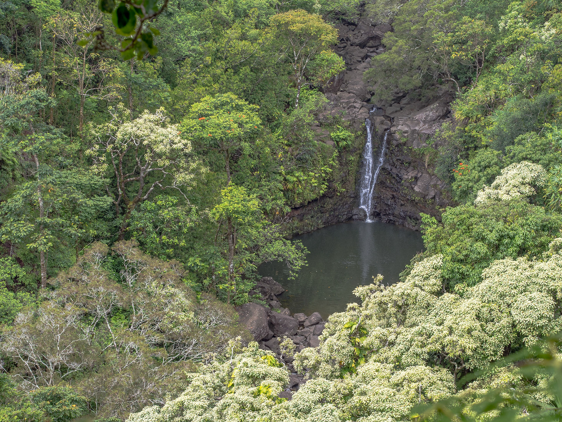 Puohokamoa Falls