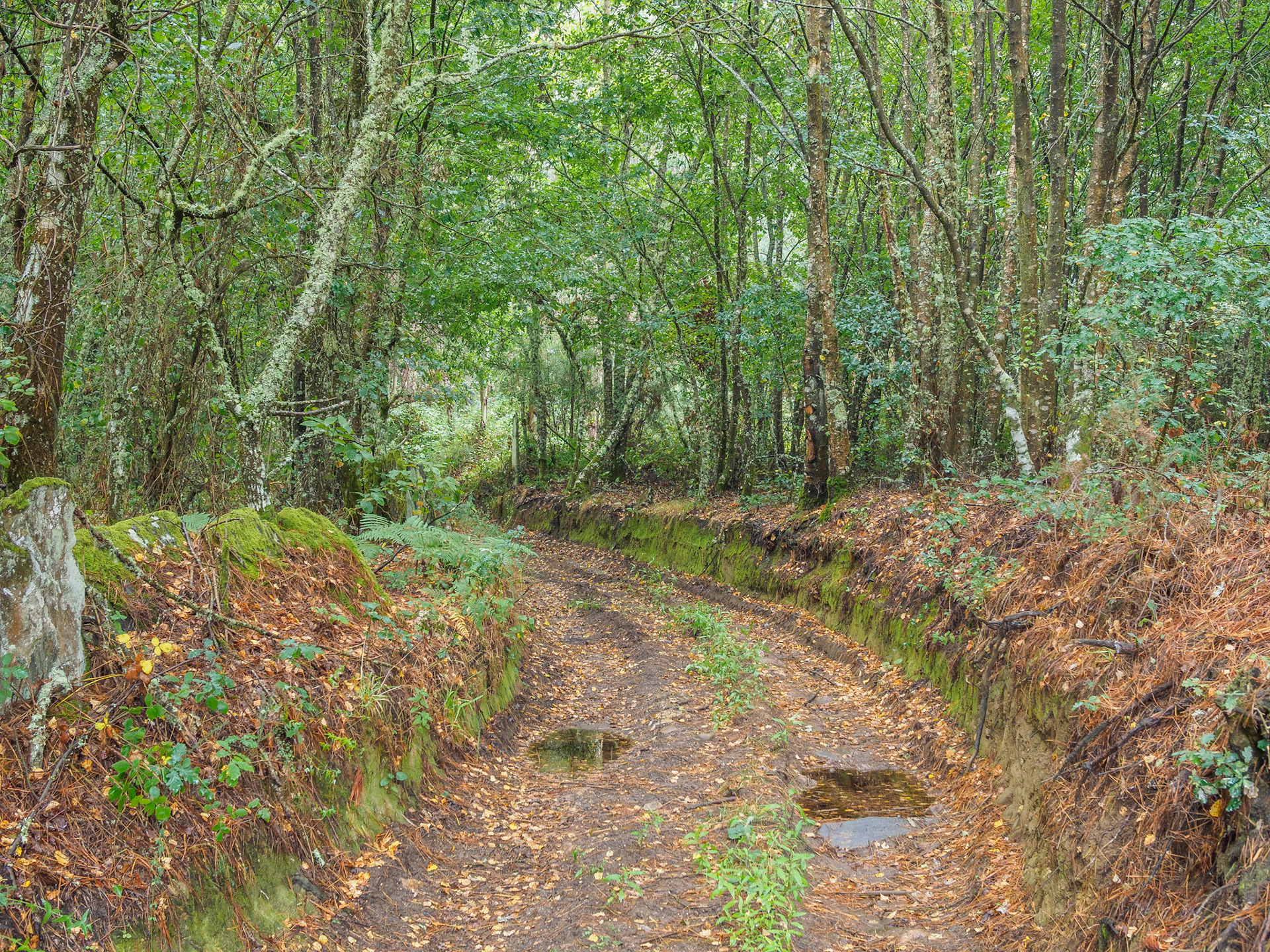 De Vilalba a Seixón
