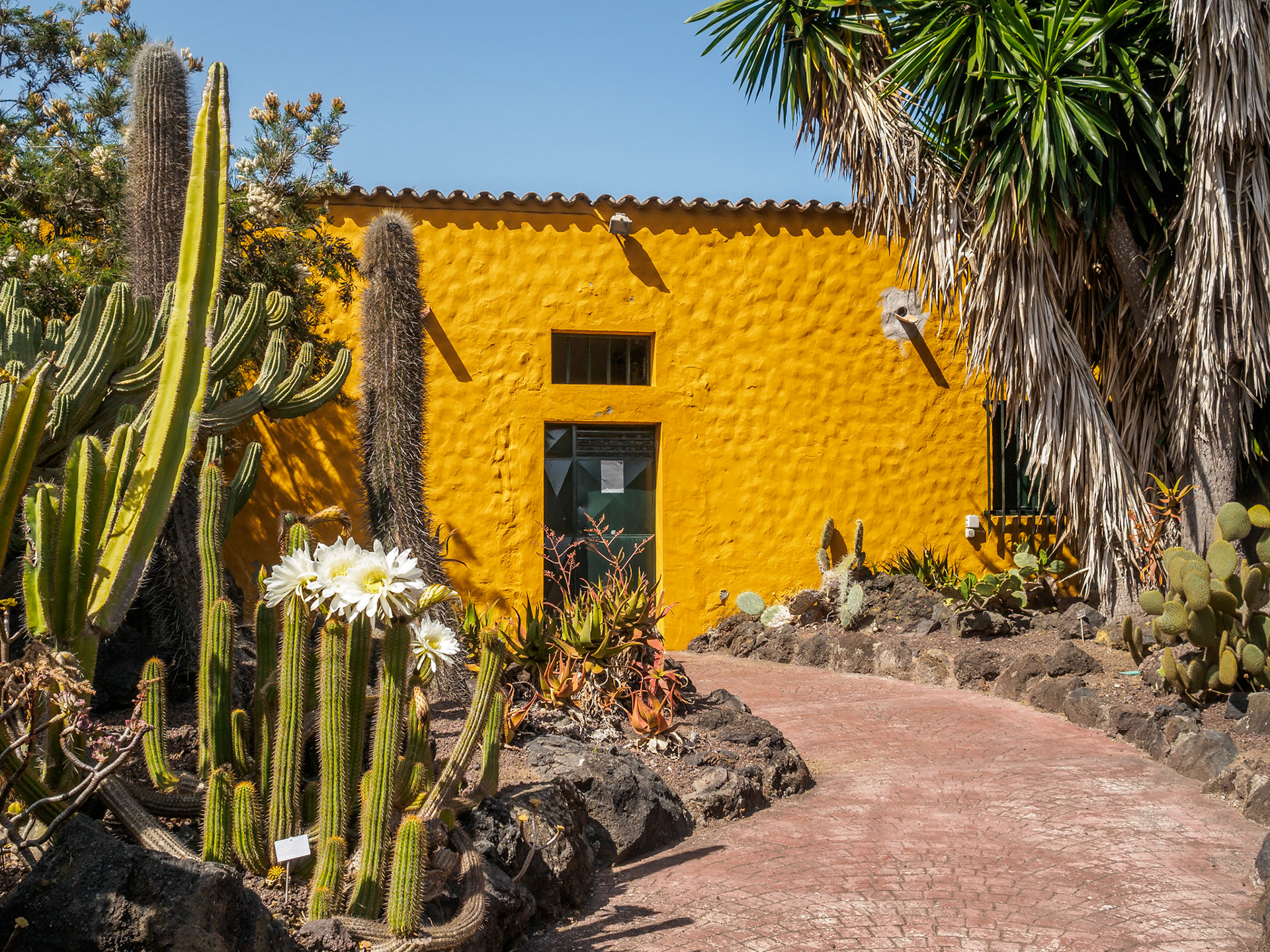 Jardín Botánico Viera y Clavijo