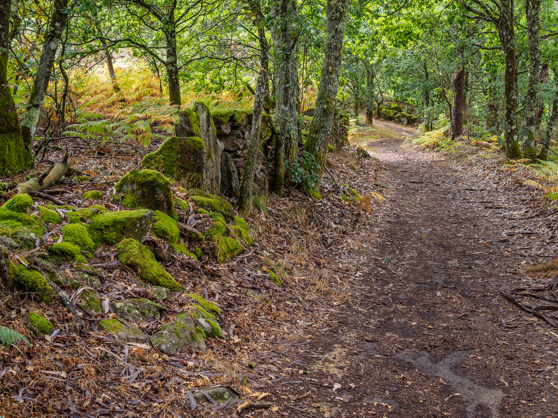 De Vilalba a Seixón