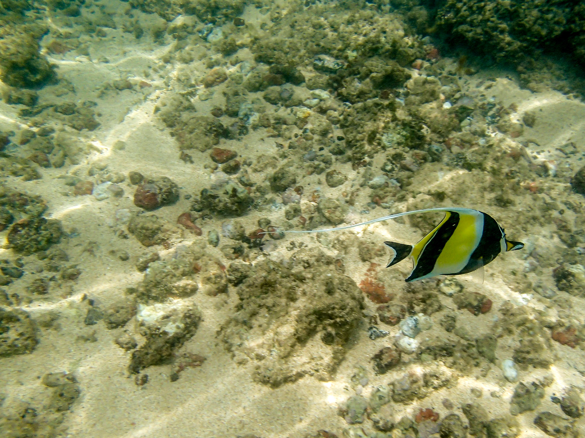 Snorkel en Ke'e Beach